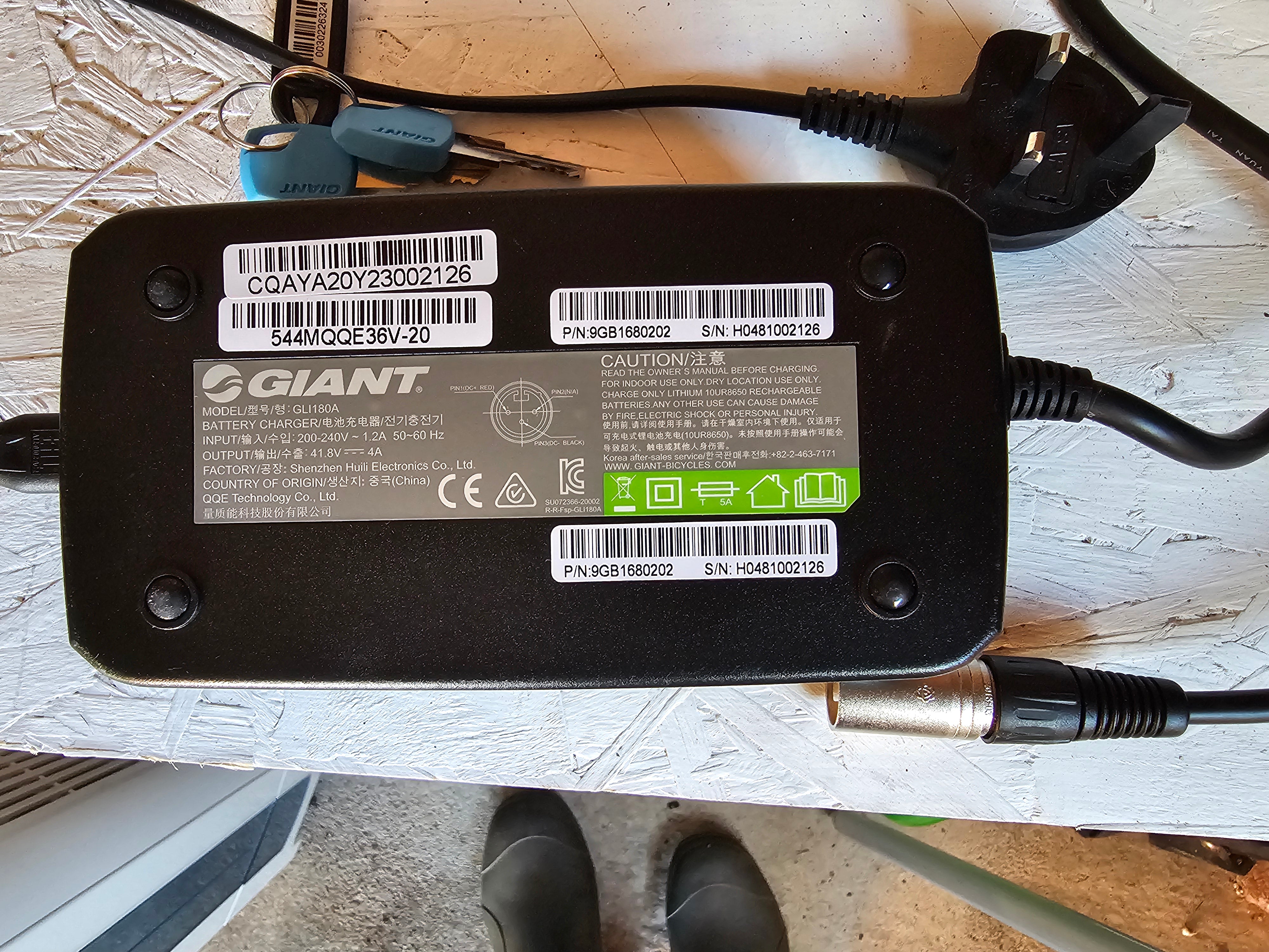 Giant Entour E+ 2 LDS (2021)