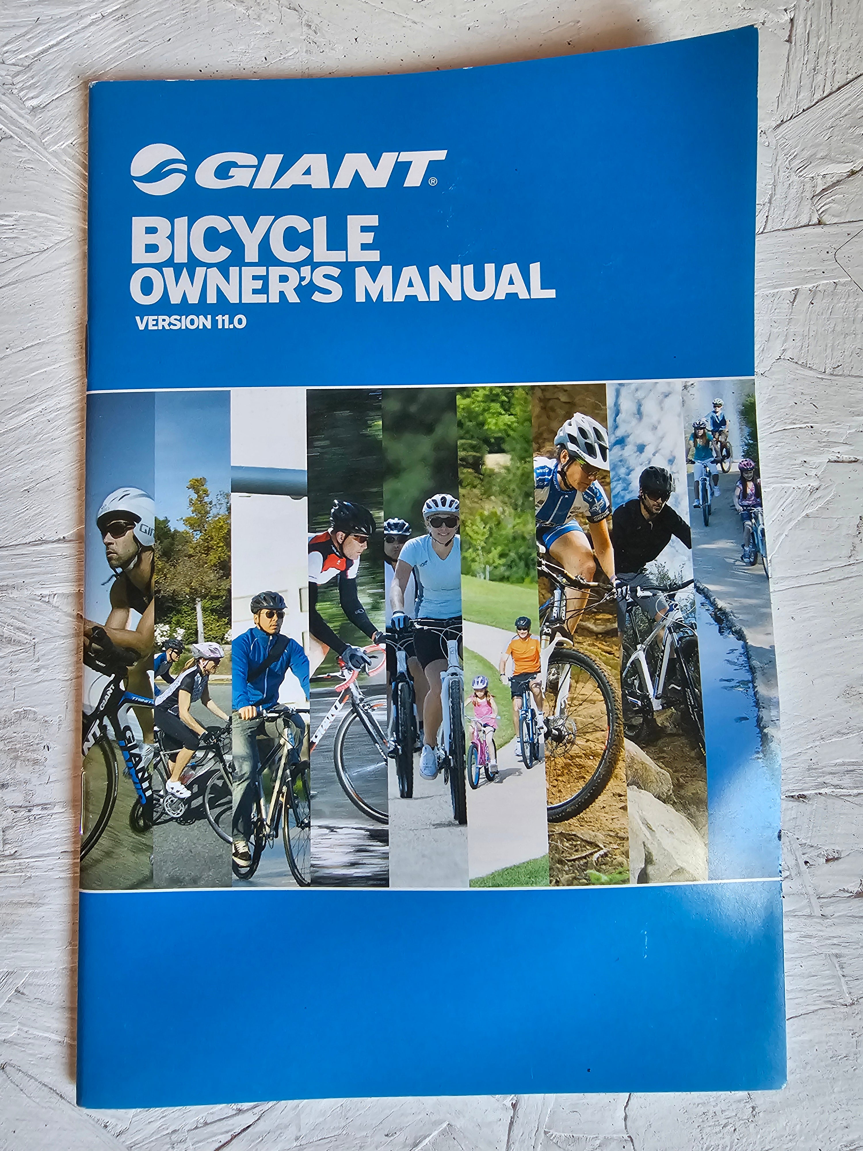 Giant Entour E+ 2 LDS (2021)