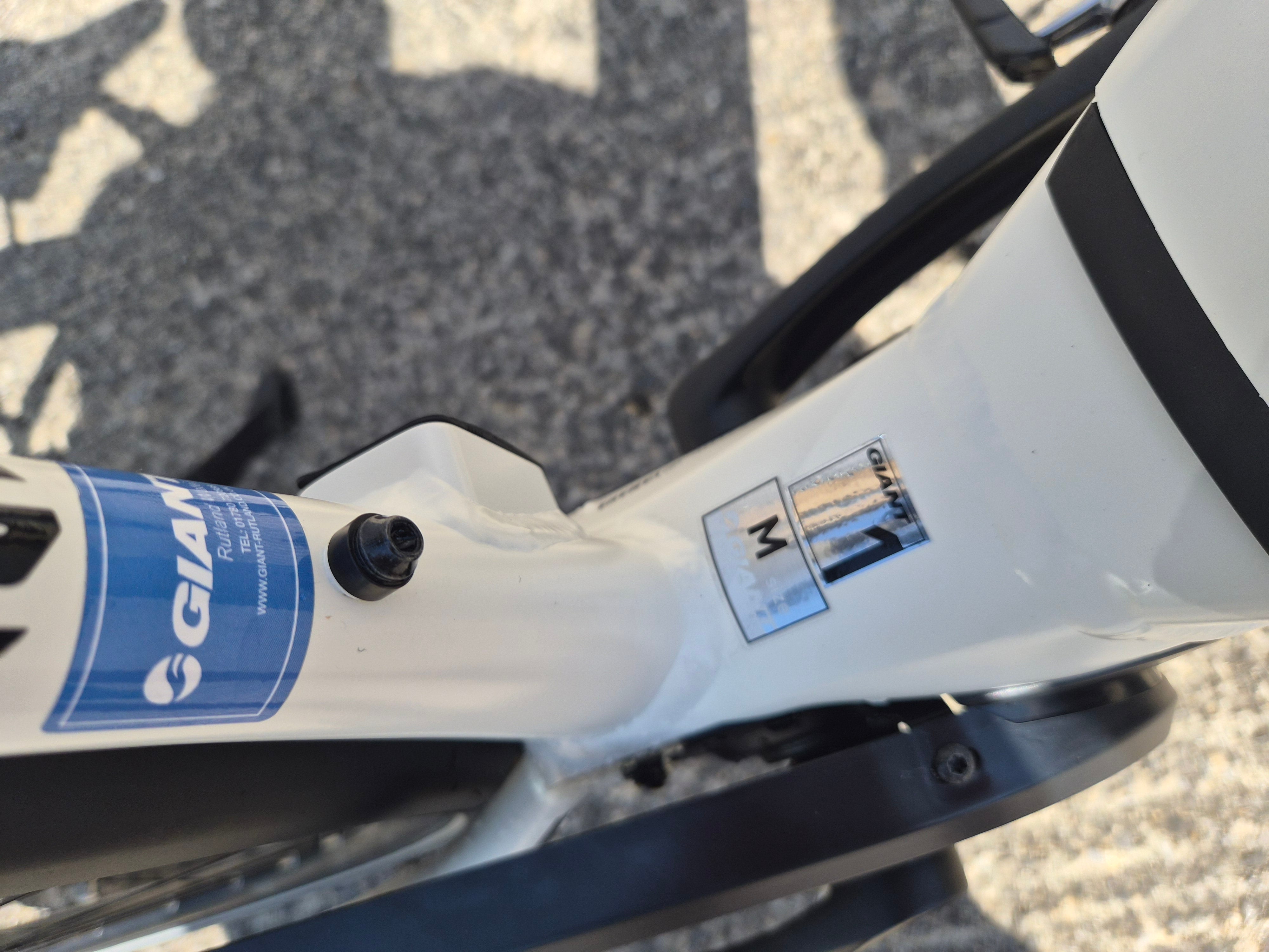 Giant DailyTour E+ 1 (2019)