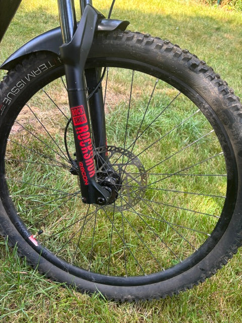 Trek Powerfly 5 (2019)