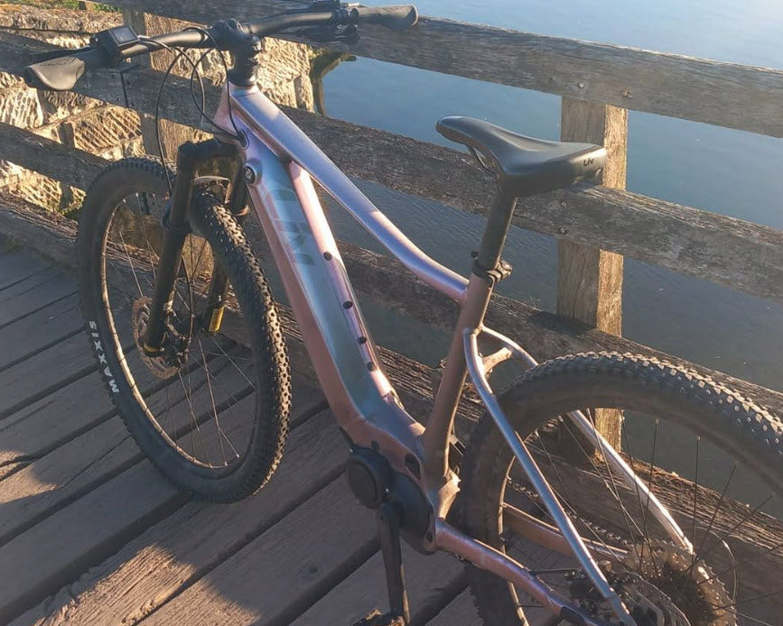 [Generator Brand] [Model Submitted] [Variant Submitted] electric bike