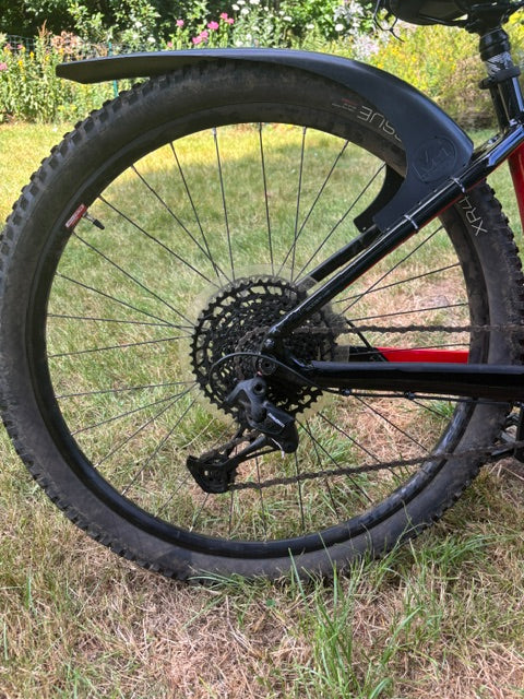 Trek Powerfly 5 (2019)