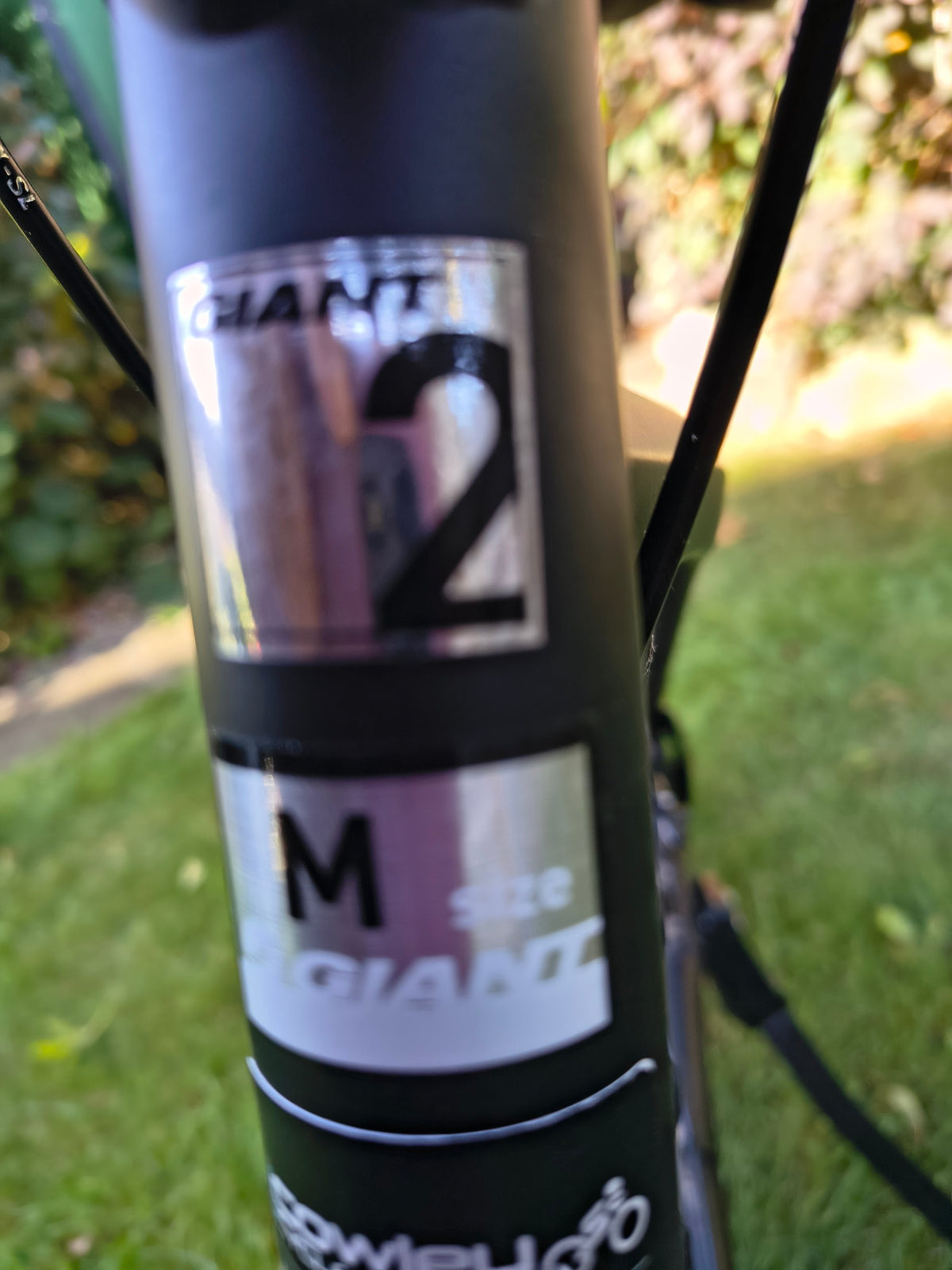 [Generator Brand] [Model Submitted] [Variant Submitted] electric bike