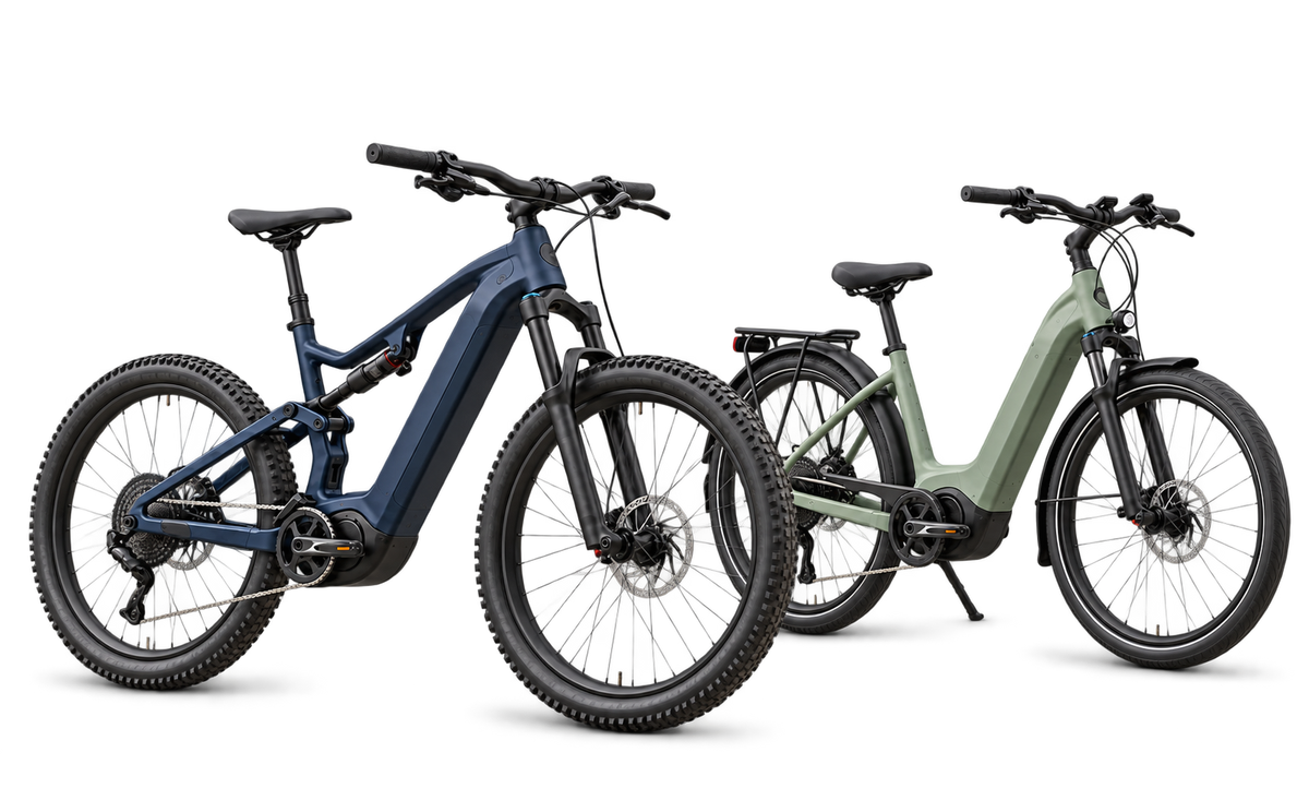 Mountain and step-through electric bikes