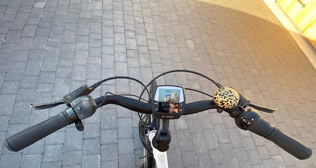 [Generator Brand] [Model Submitted] [Variant Submitted] electric bike