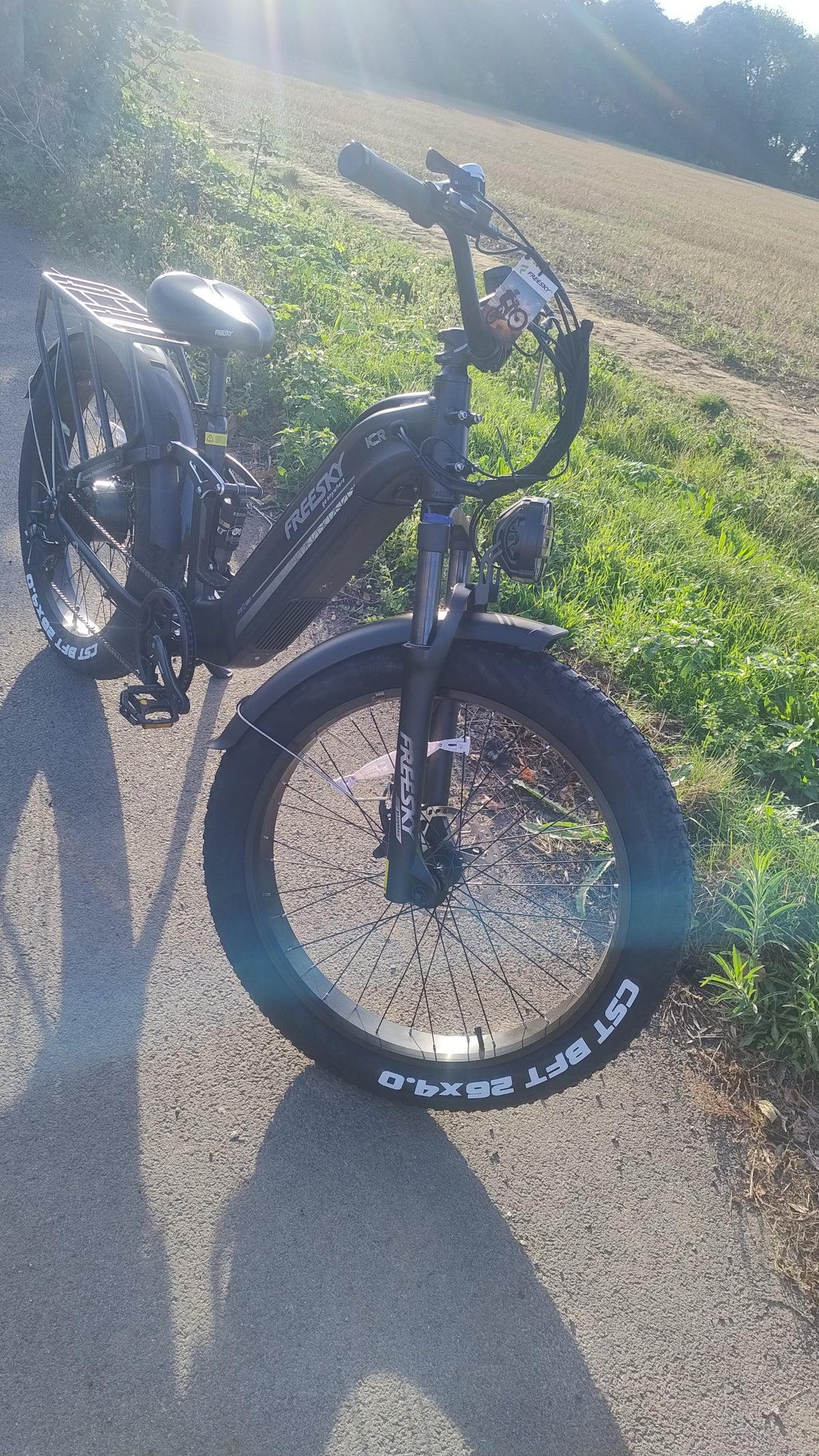 [Generator Brand] [Model Submitted] [Variant Submitted] electric bike