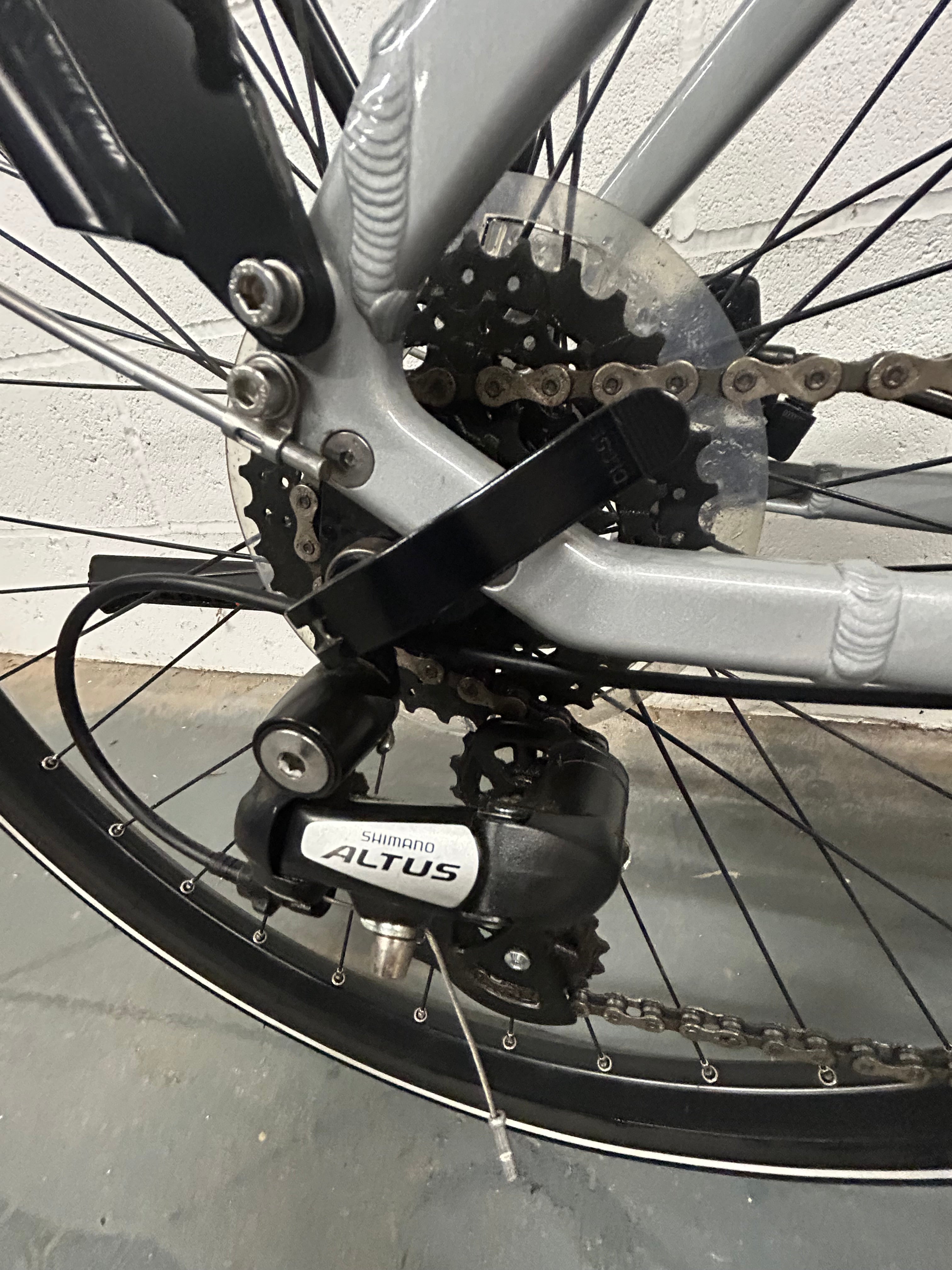 Raleigh Motus Lowstep (2020)
