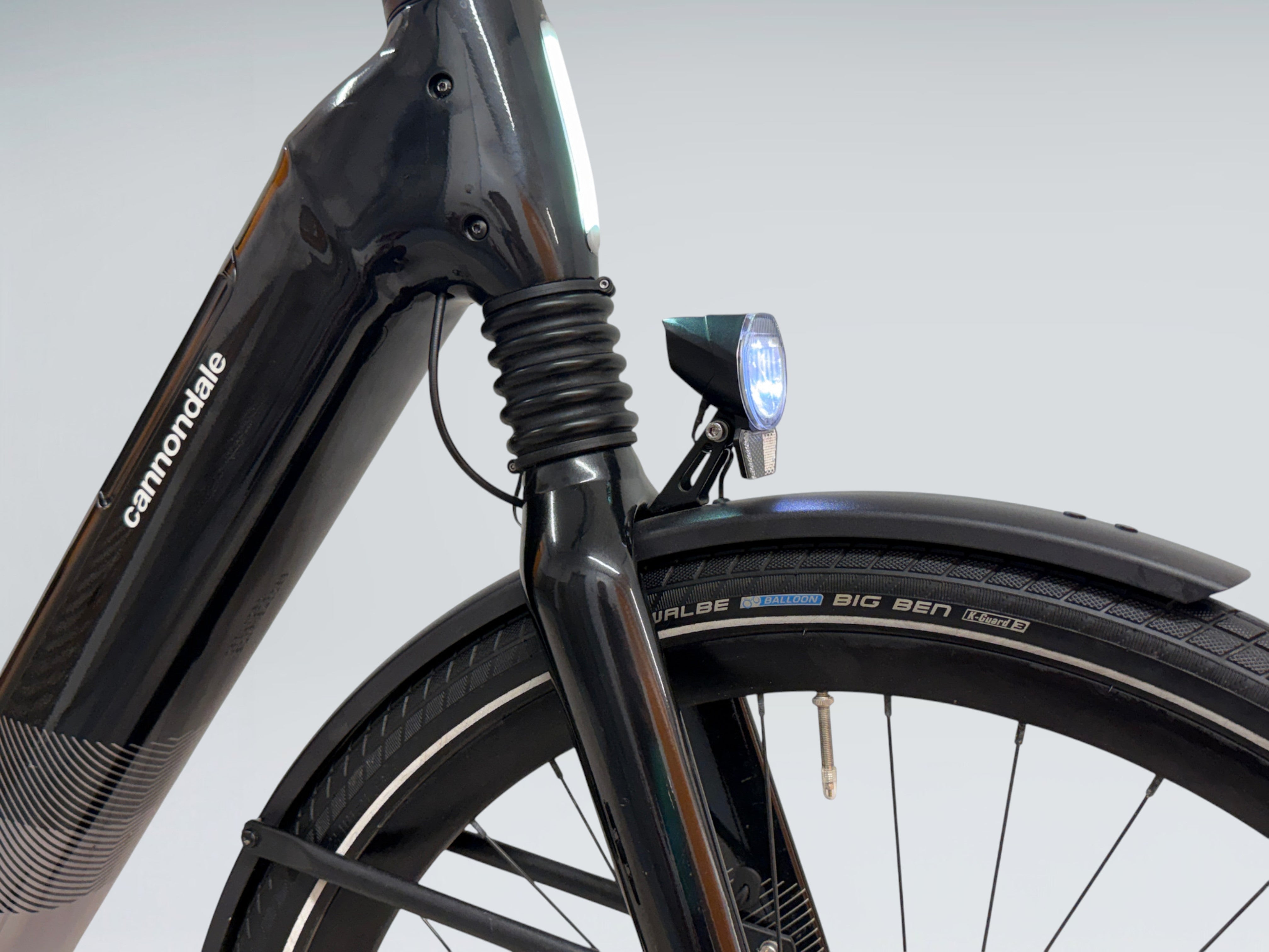 Cannondale Mavaro Neo 5+ (2022)