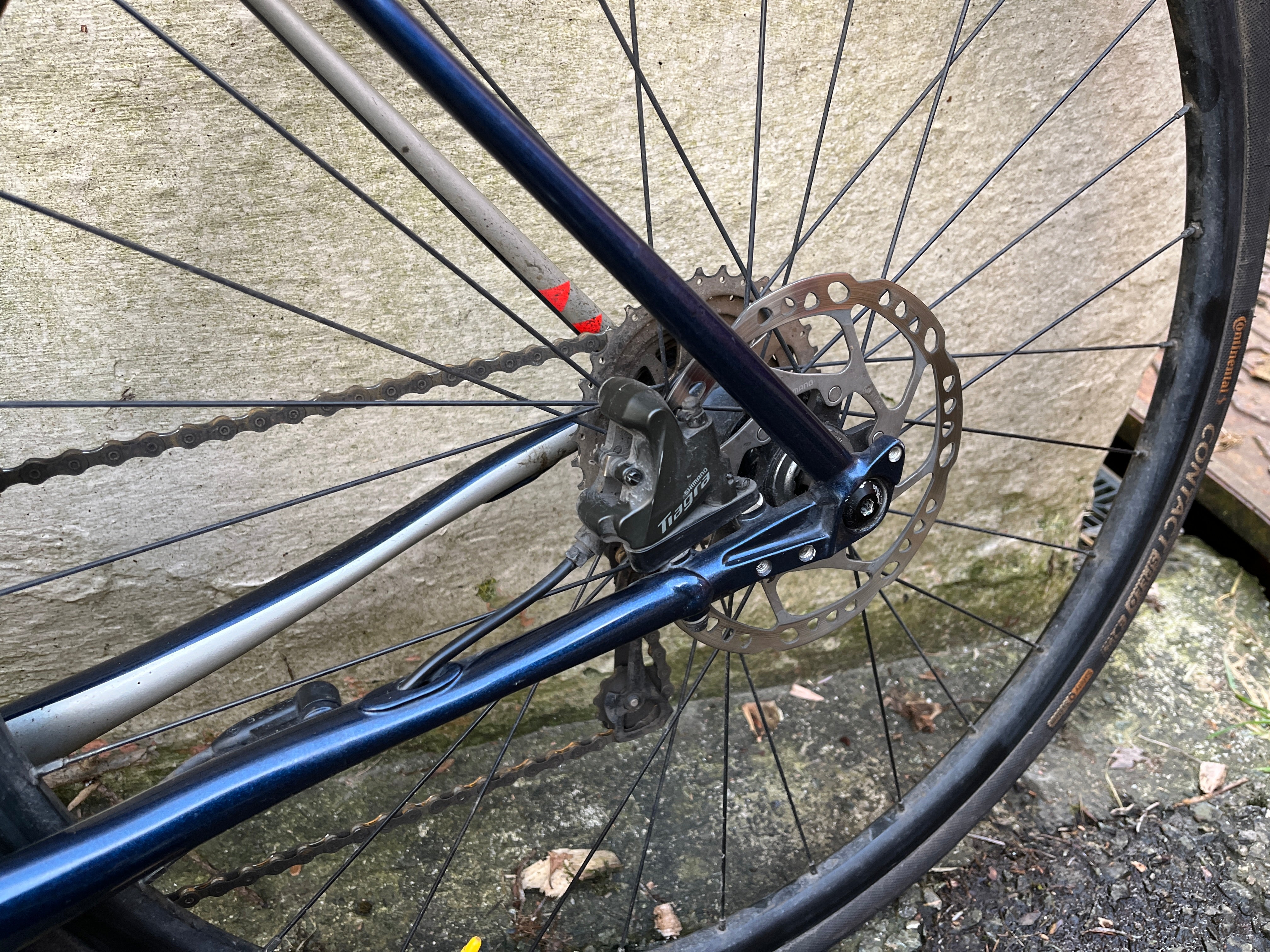 Cannondale Synapse Neo 2 (2021)