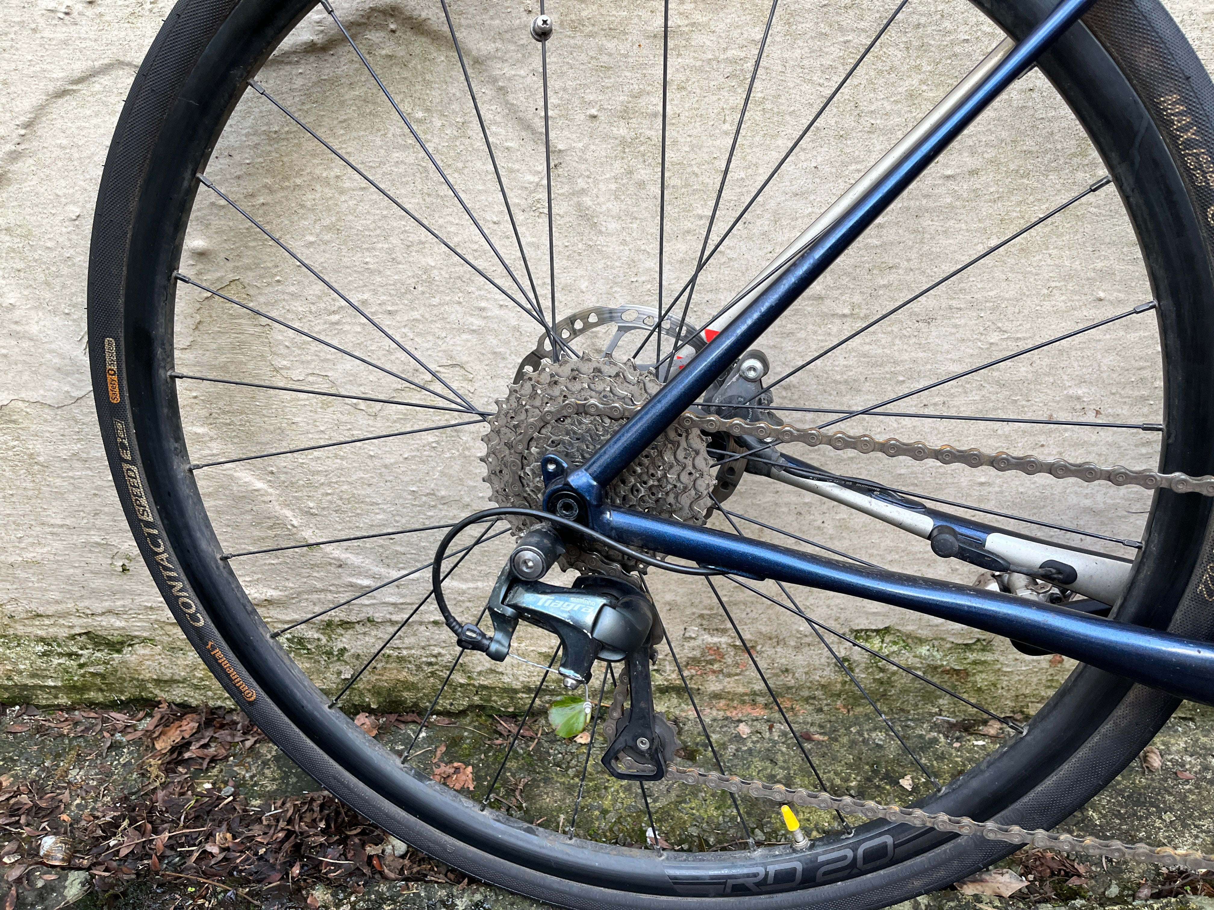 Cannondale Synapse Neo 2 (2021)