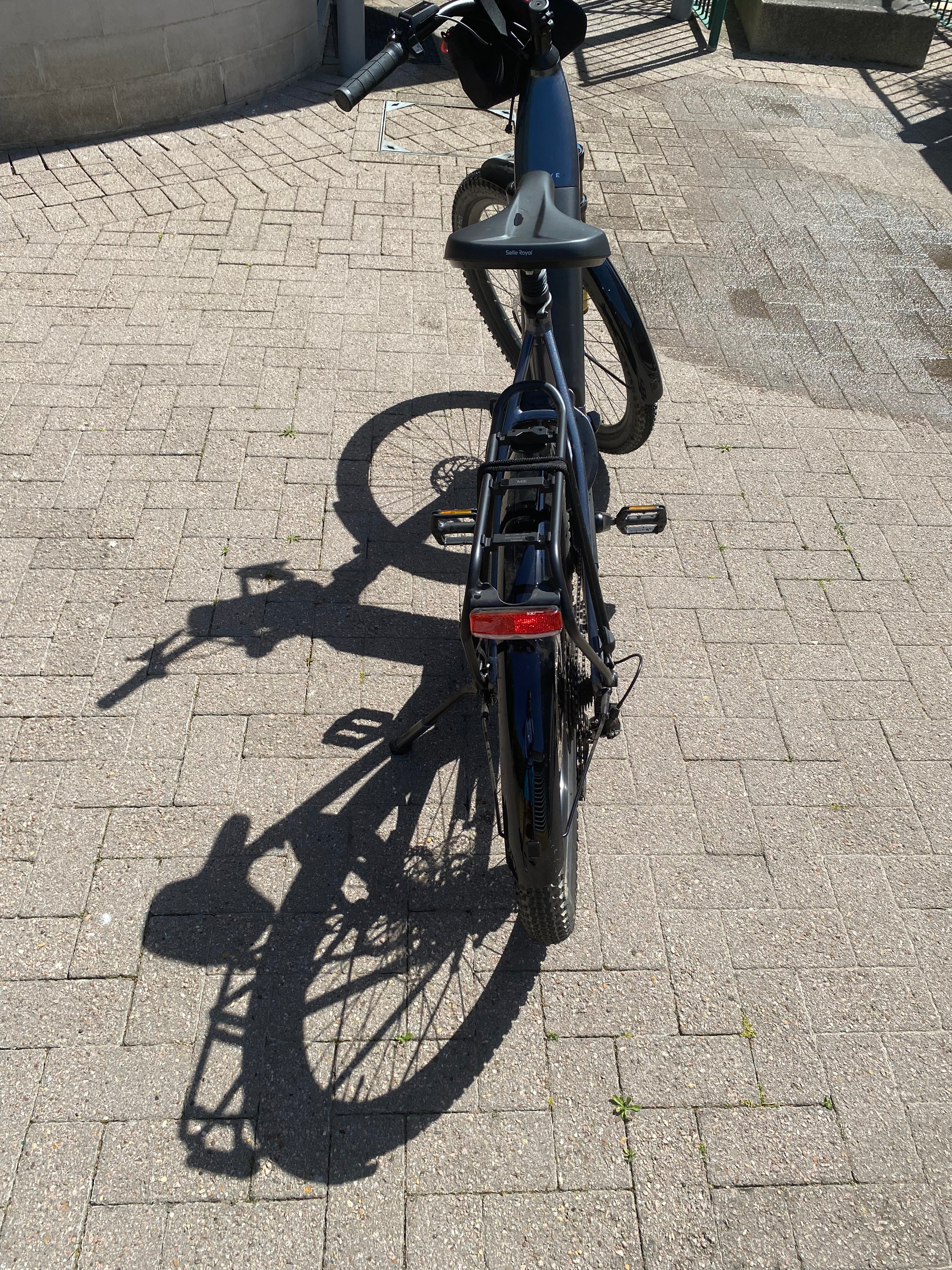 Trek Verve+ 4 (2026)