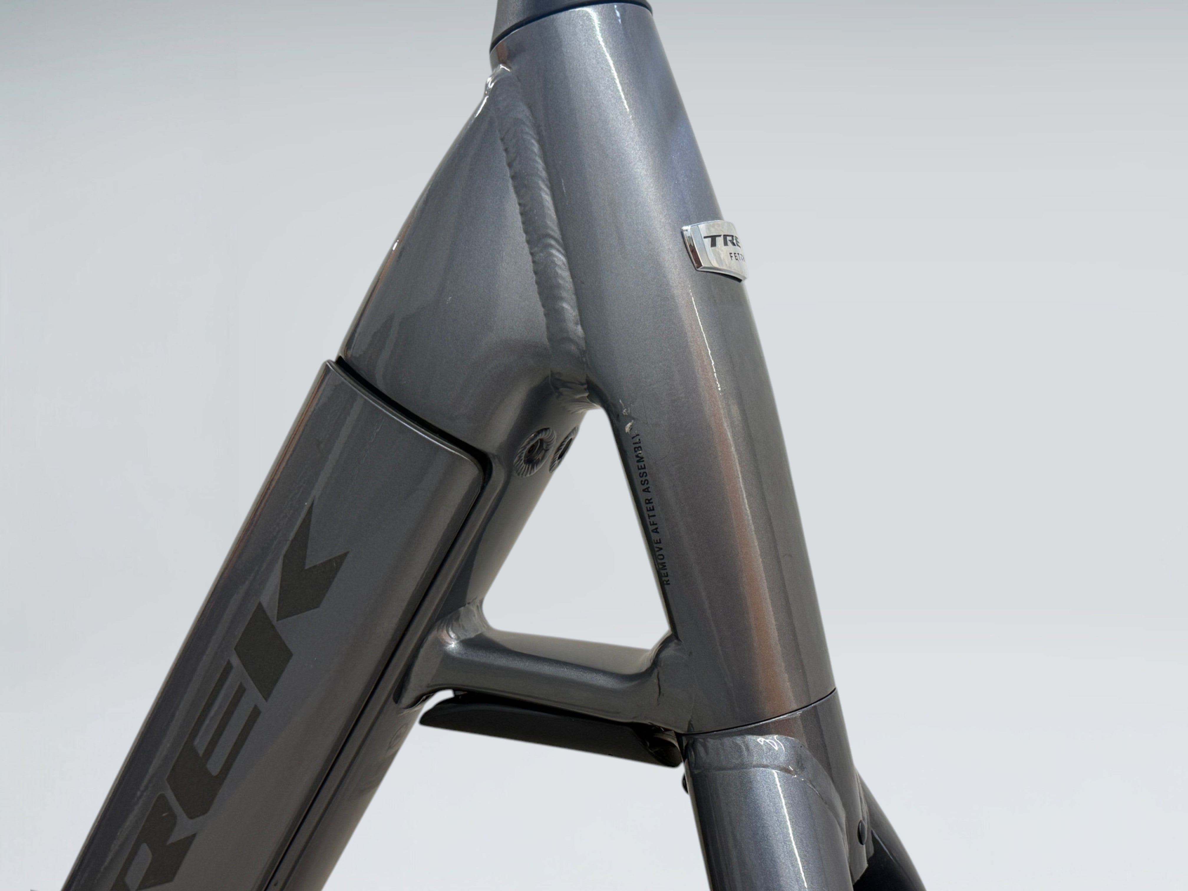 Trek Fetch+ 2 (2023)