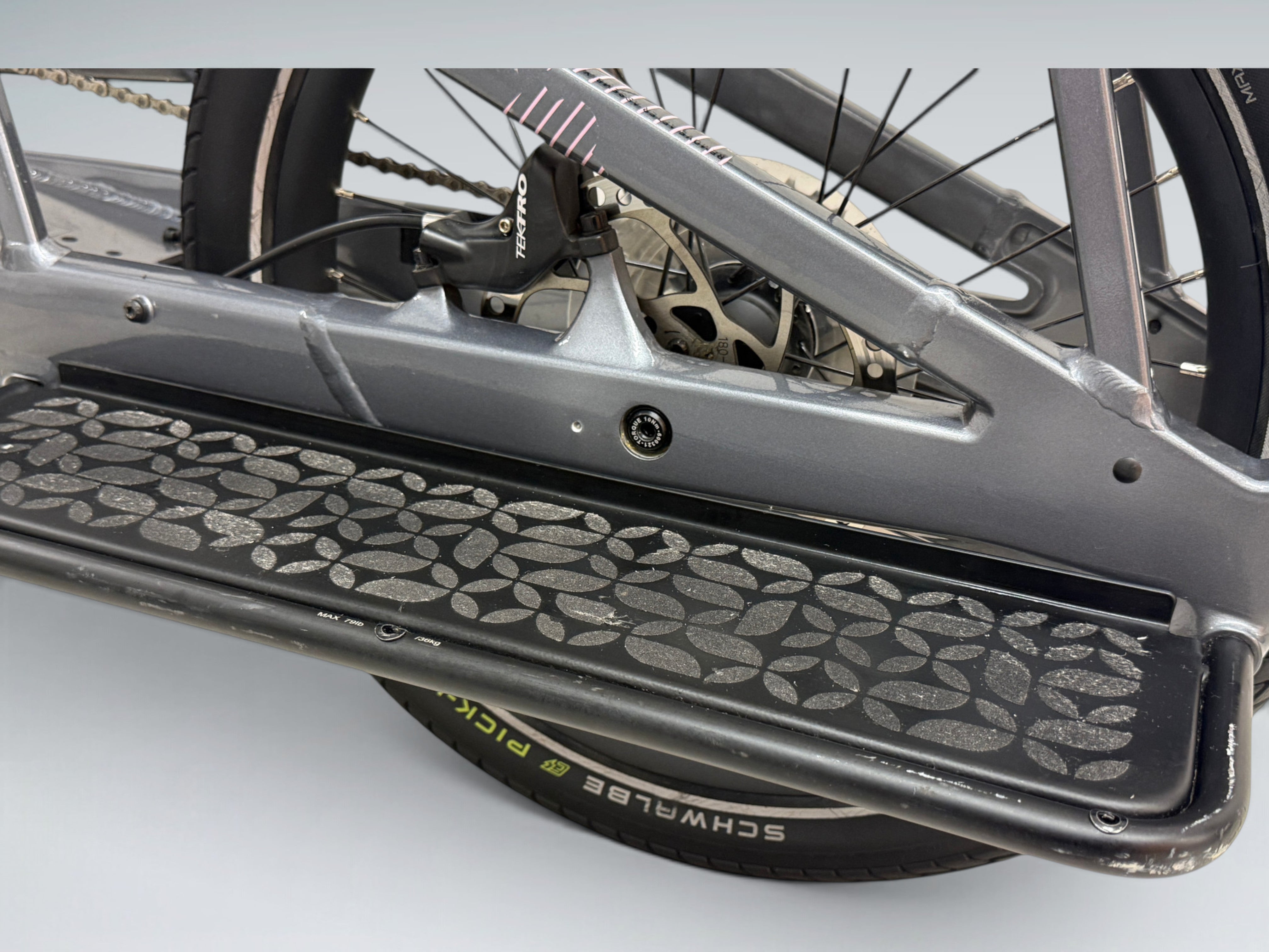Trek Fetch+ 2 (2023)