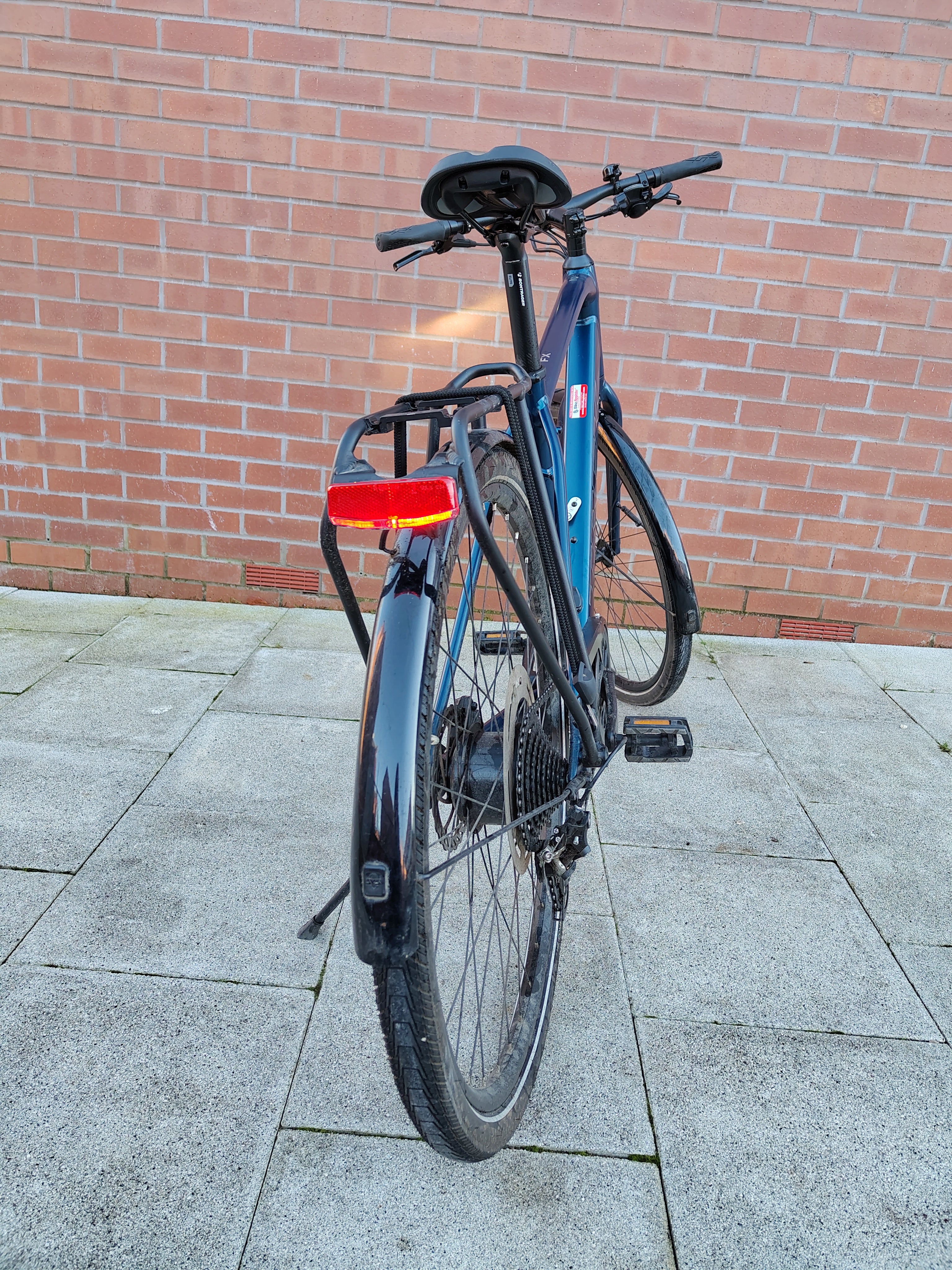 Trek FX+2 (2022)
