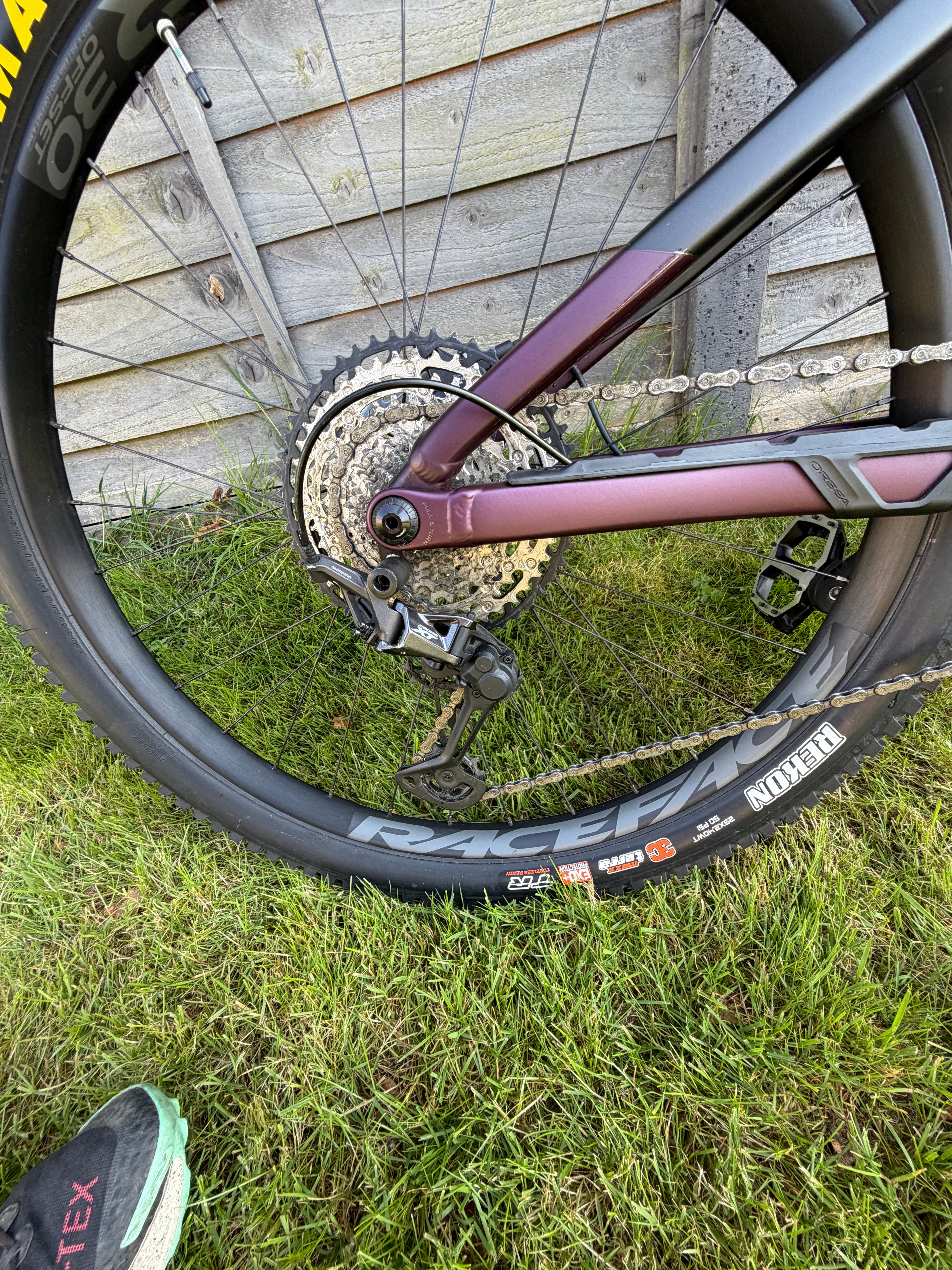 Orbea Rise H15 (2022)