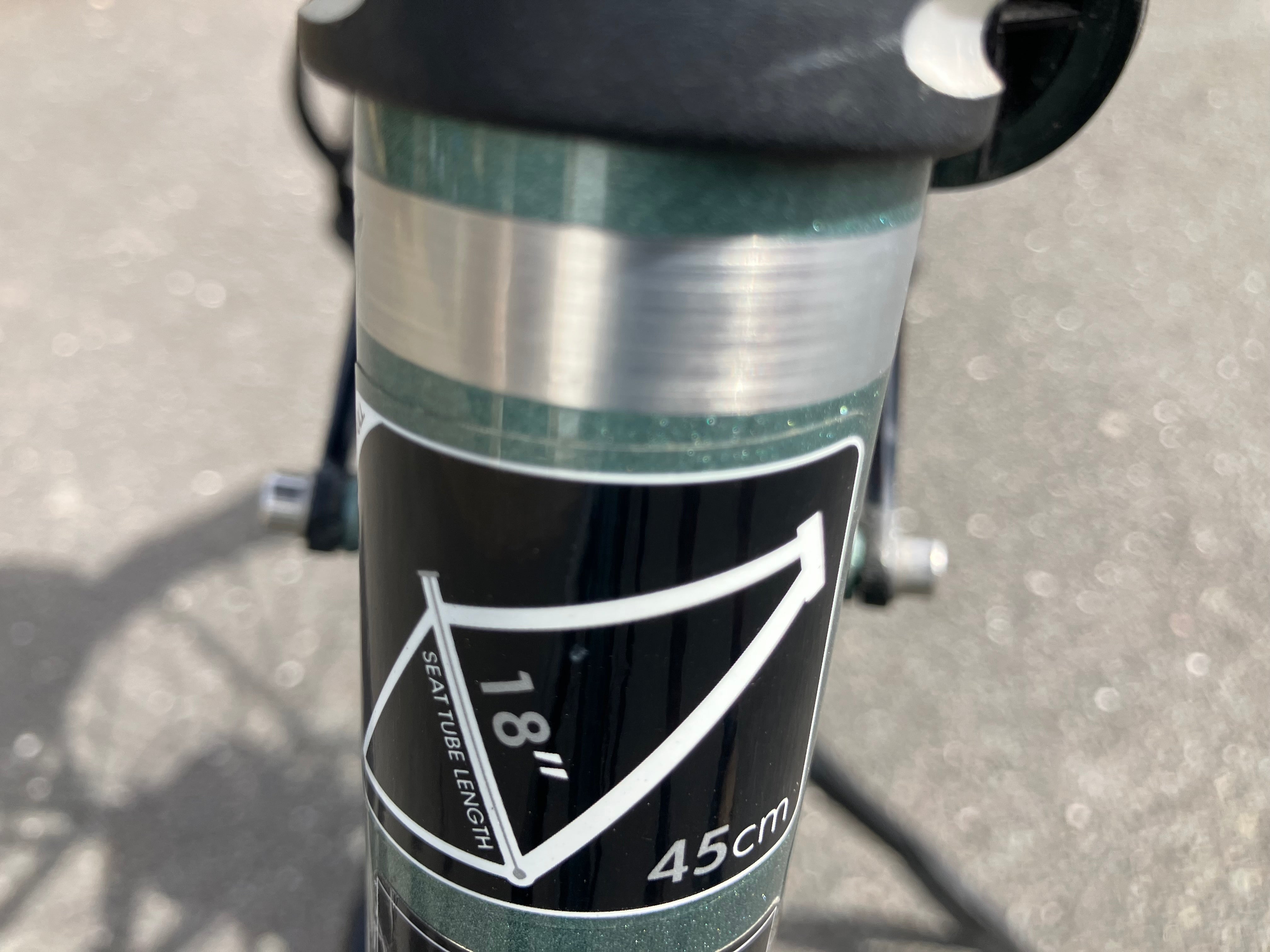 Raleigh Motus Low Step (2019)