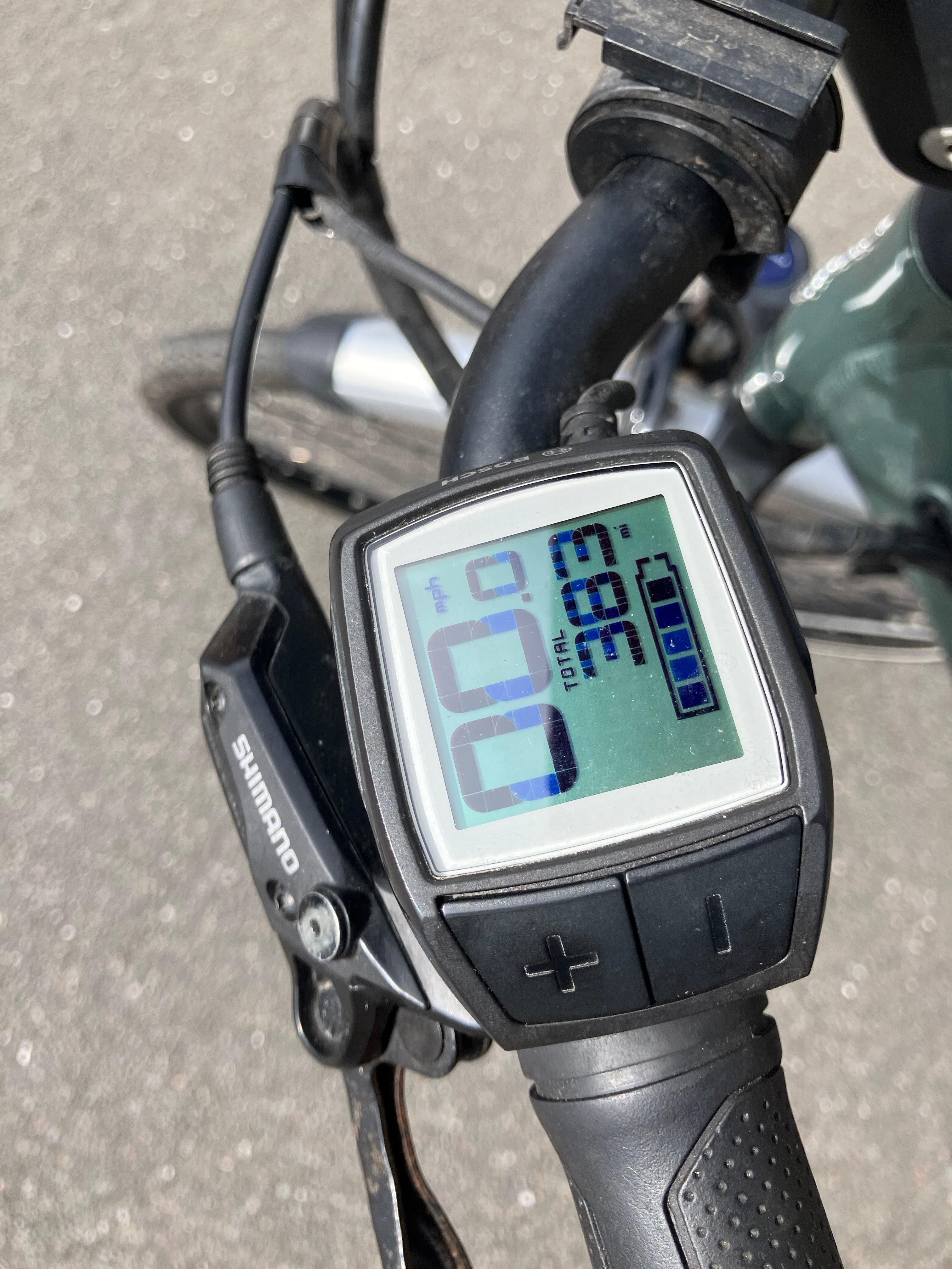 Raleigh Motus Low Step (2019)