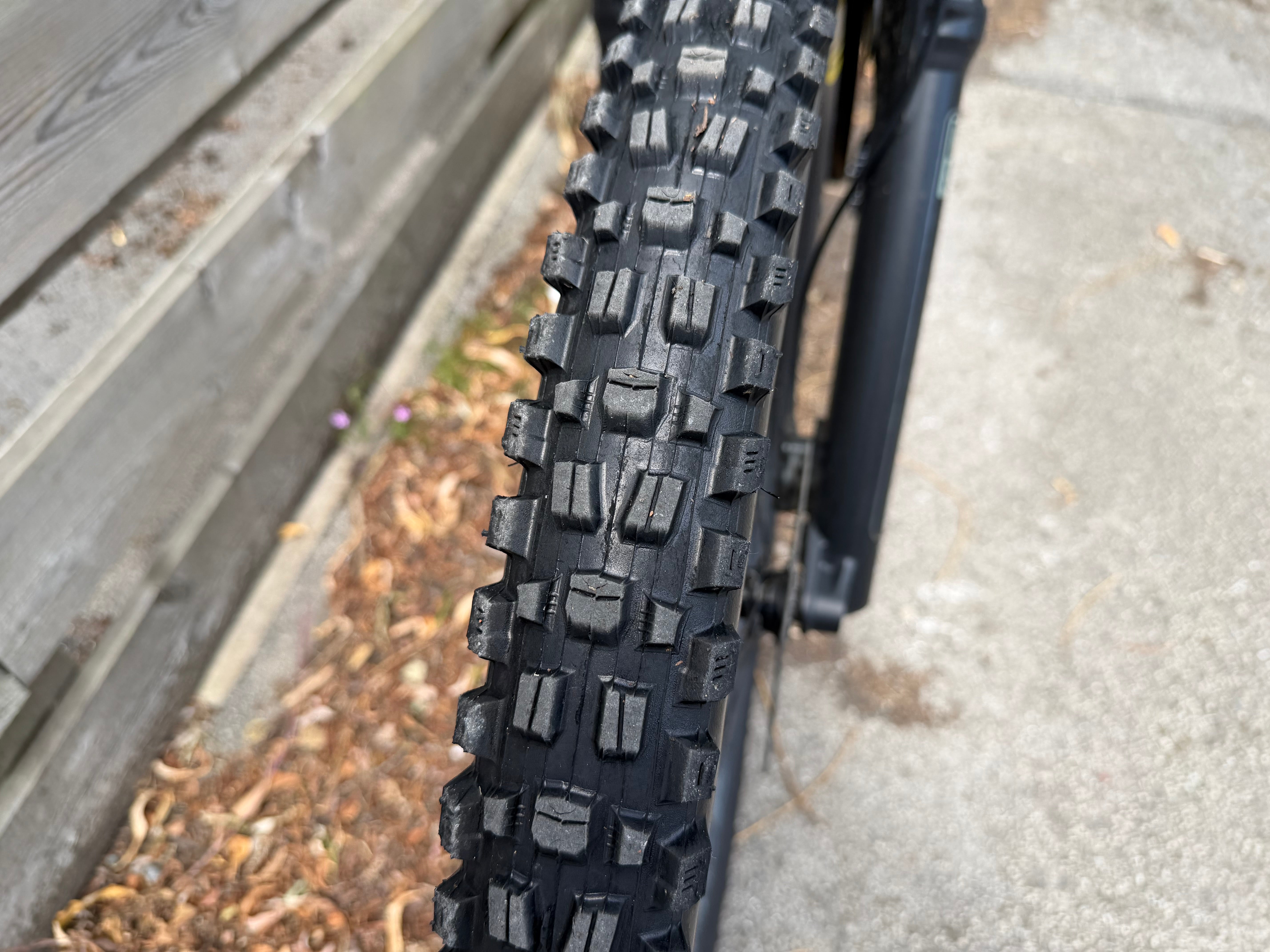 Orbea Wild H20 (2025)