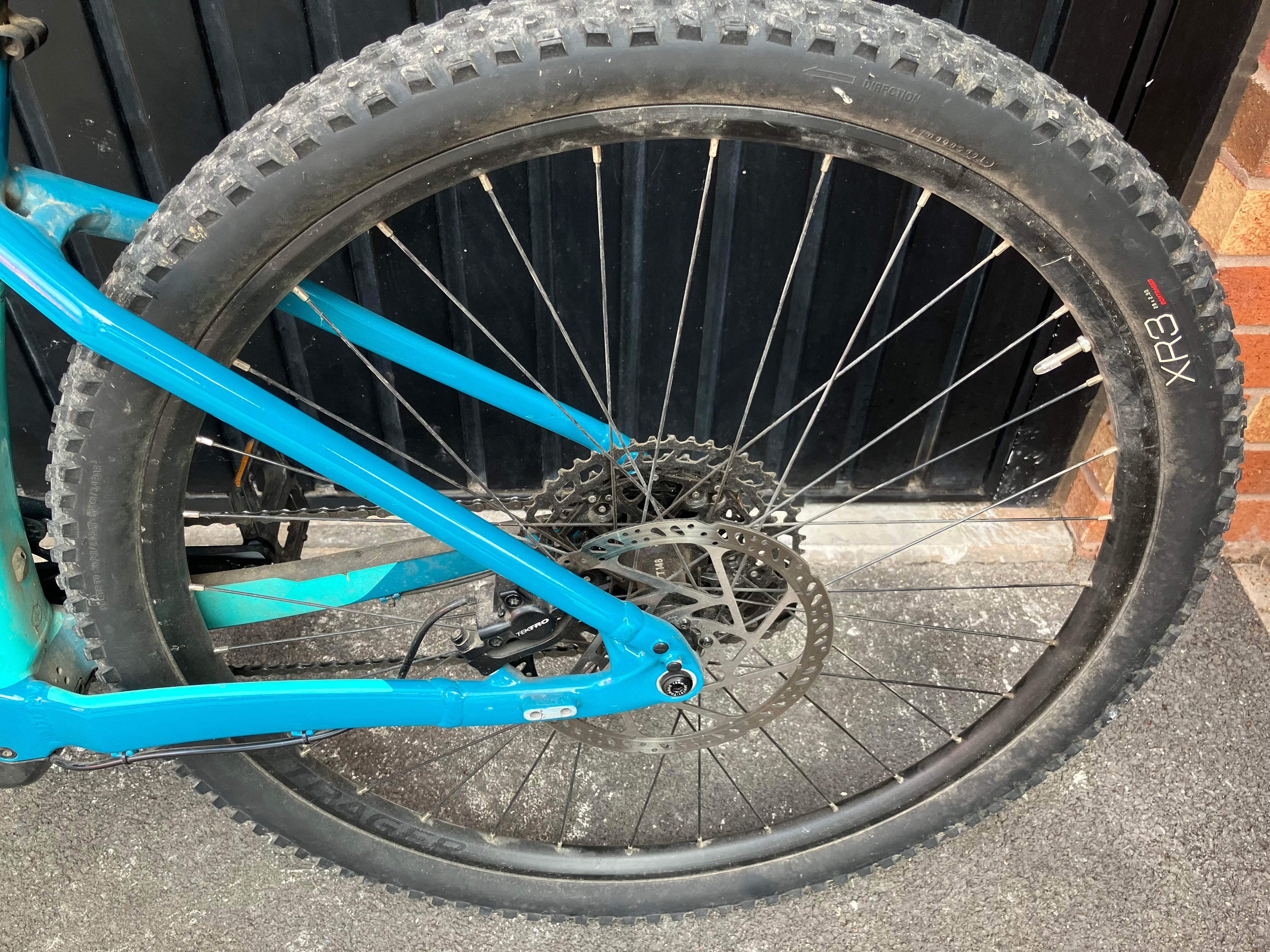Trek Powerfly 5 (2020)