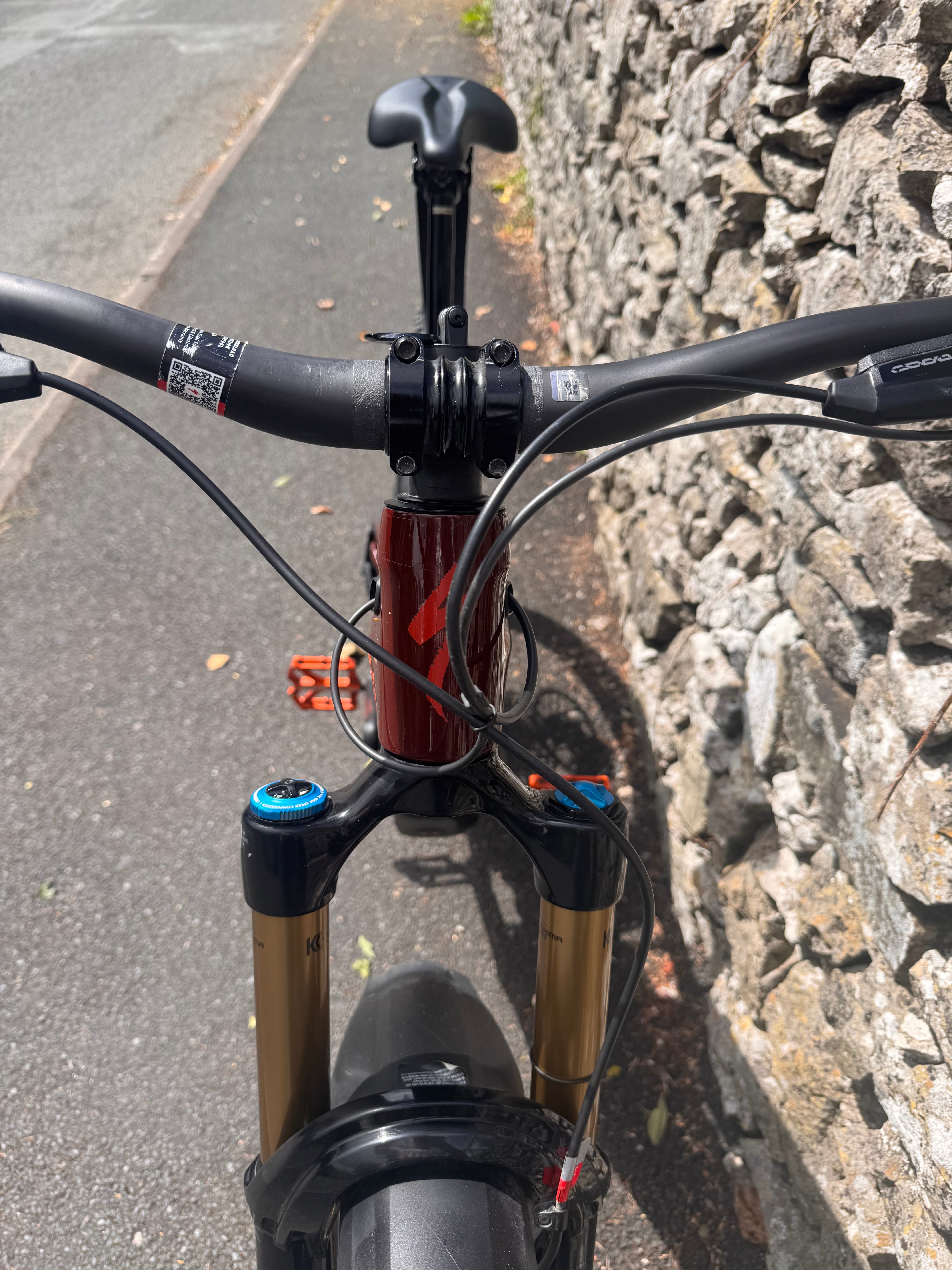Specialized Turbo Levo Pro (2024)