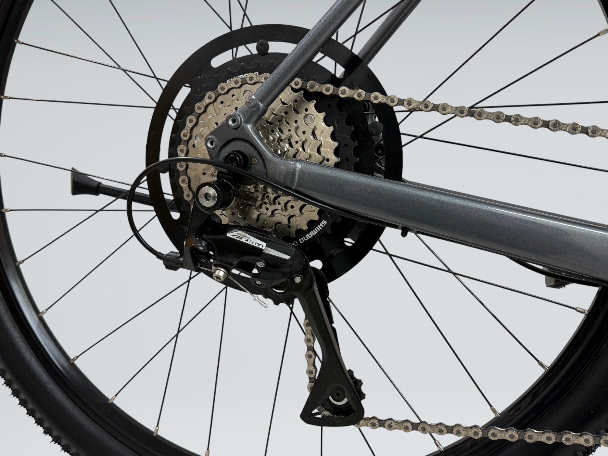 Trek Dual Sport+ 2 (2024)