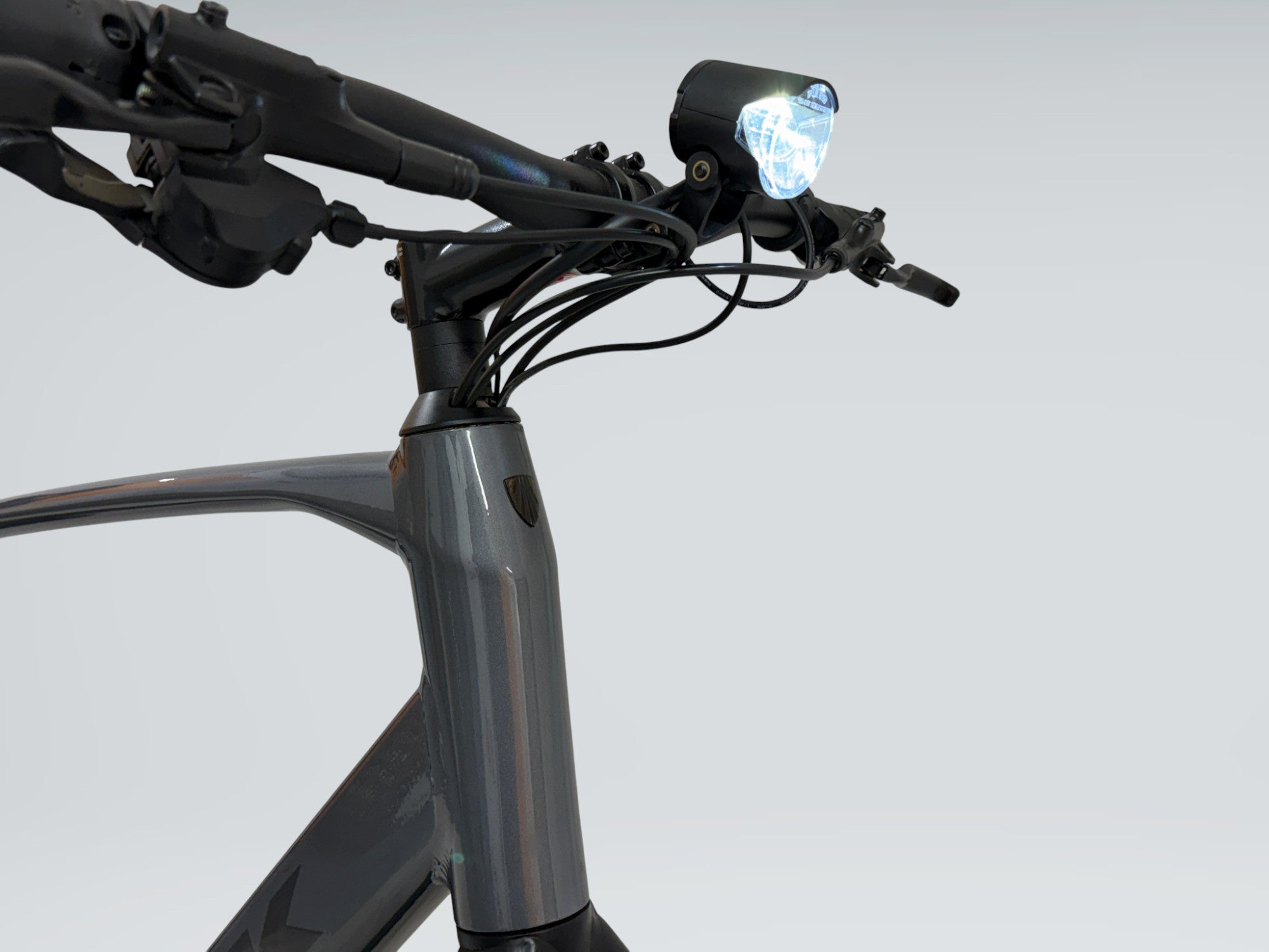 Trek Dual Sport+ 2 (2024)