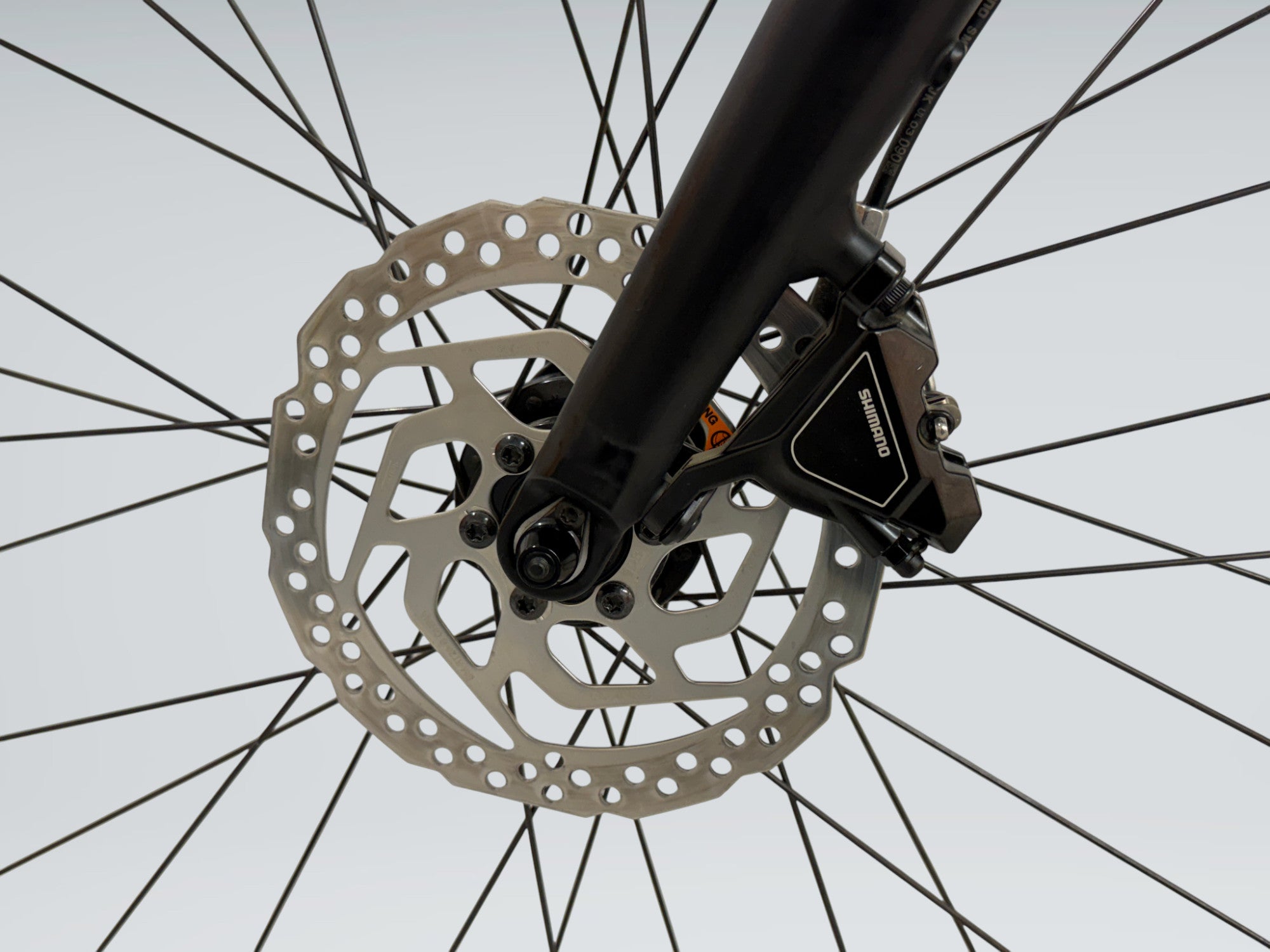 Trek Dual Sport+ 2 (2024)