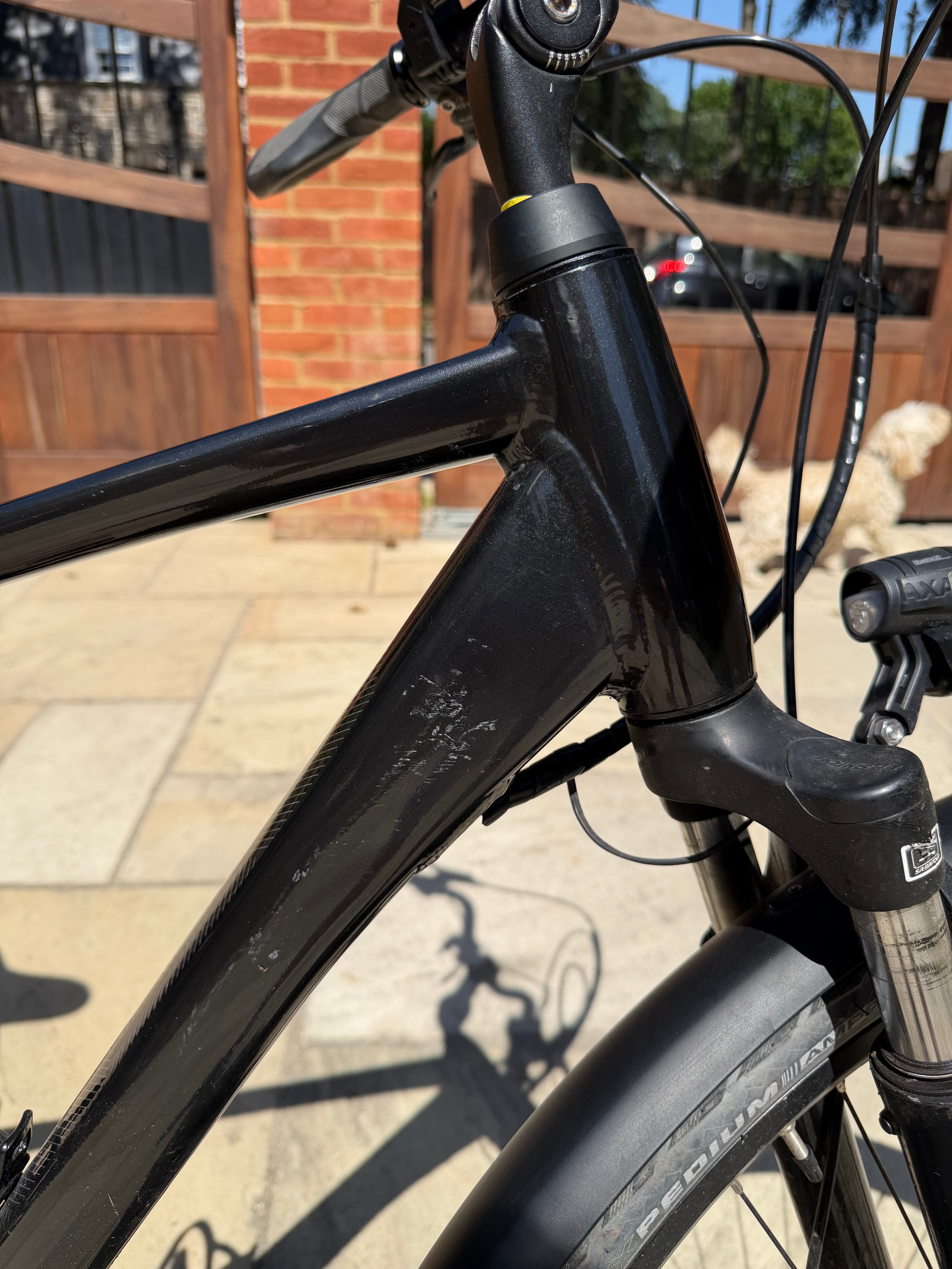 Giant Entour E+ 2 GTS (2022)