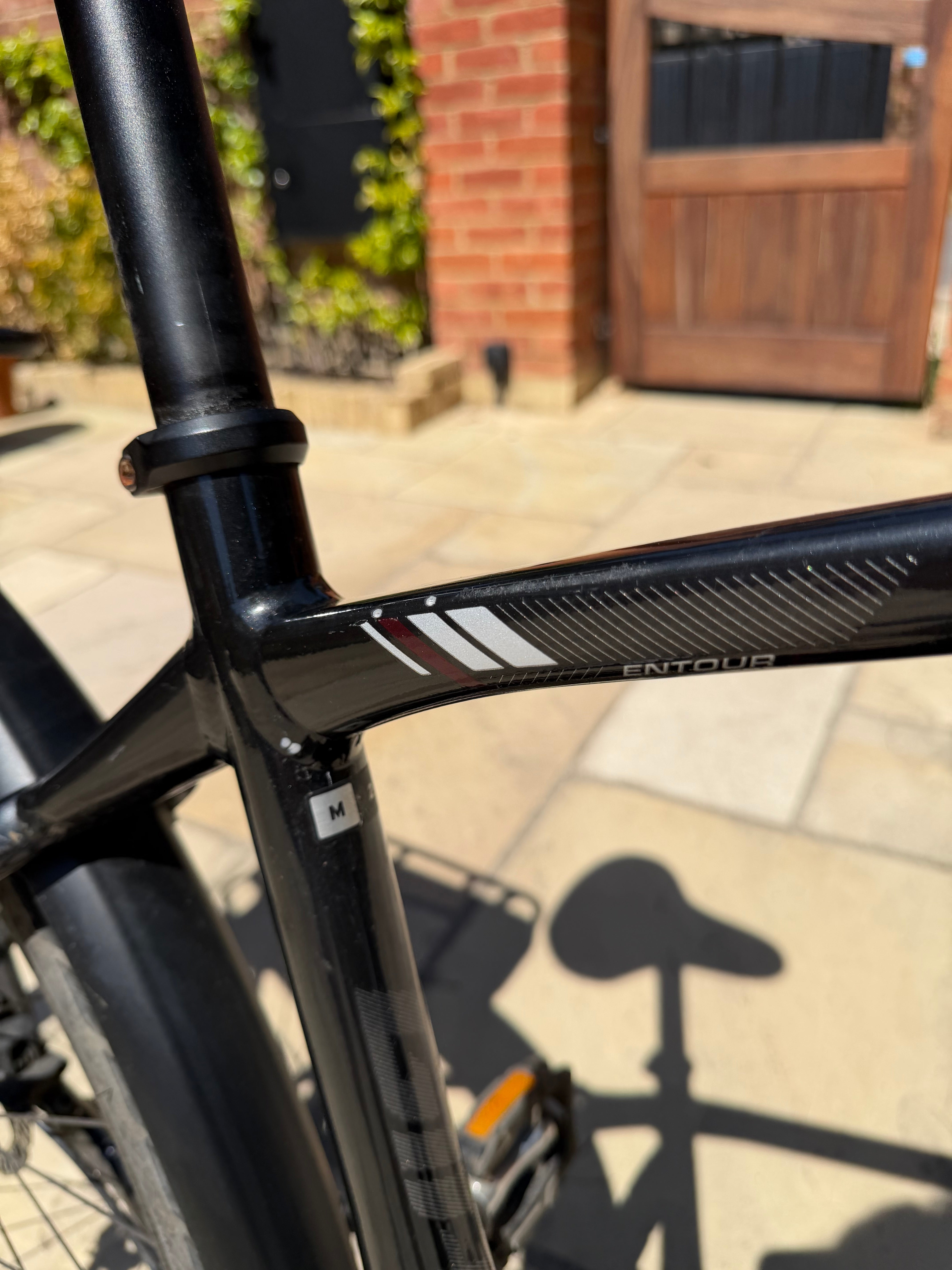 Giant Entour E+ 2 GTS (2022)