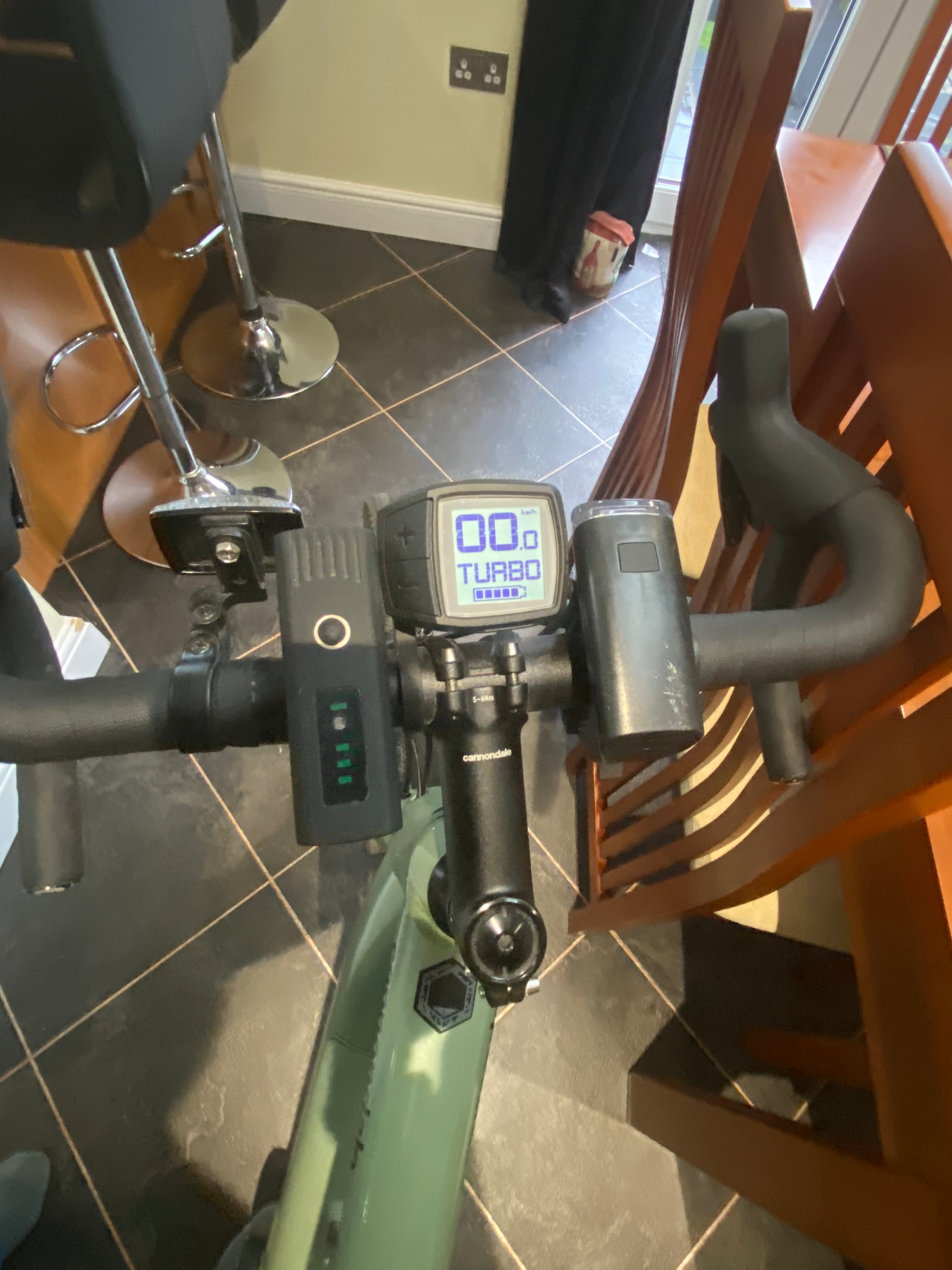 Cannondale Synapse Neo SE (2021)