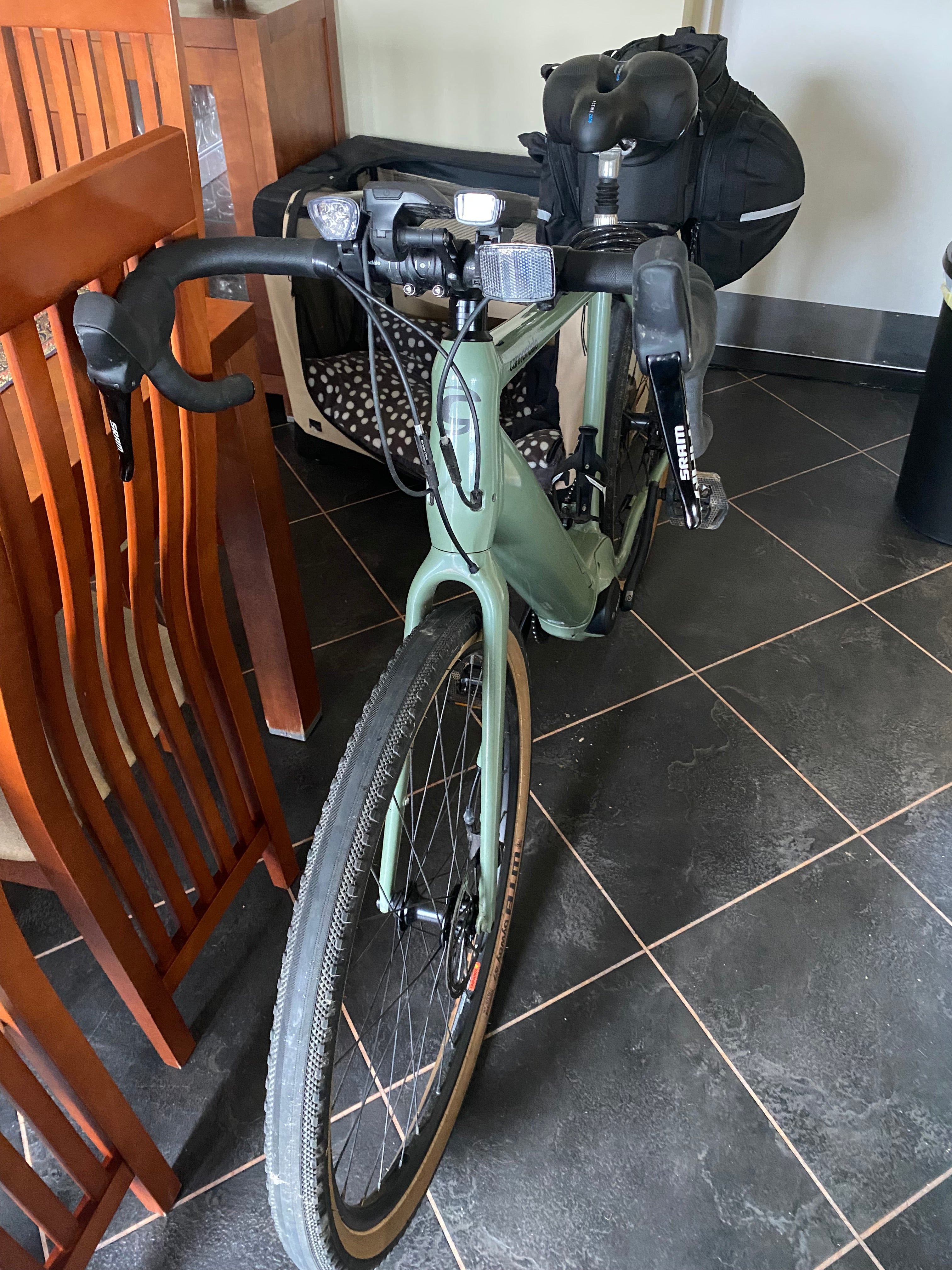 Cannondale Synapse Neo SE (2021)