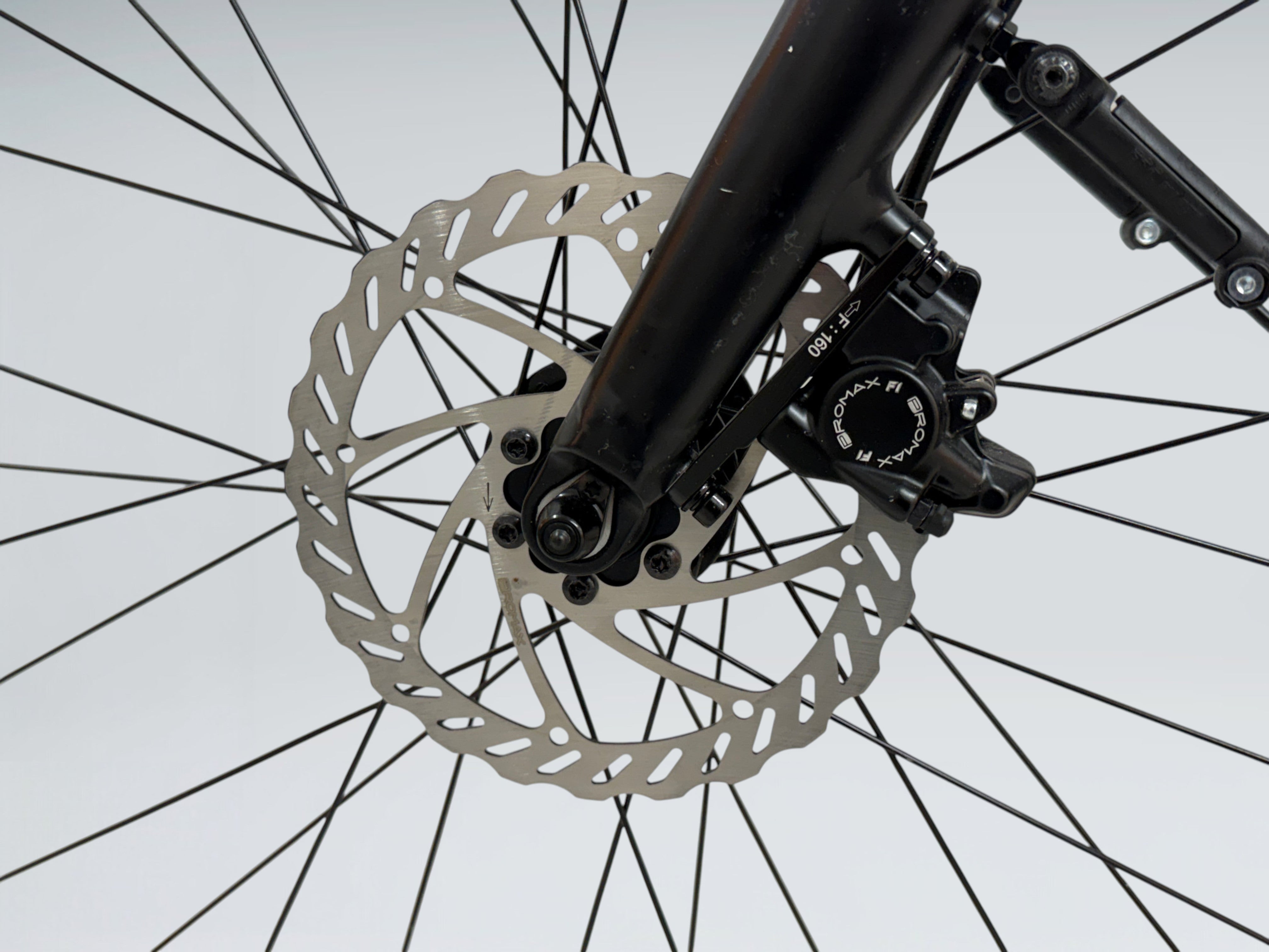 Trek FX+ 2 (2022)