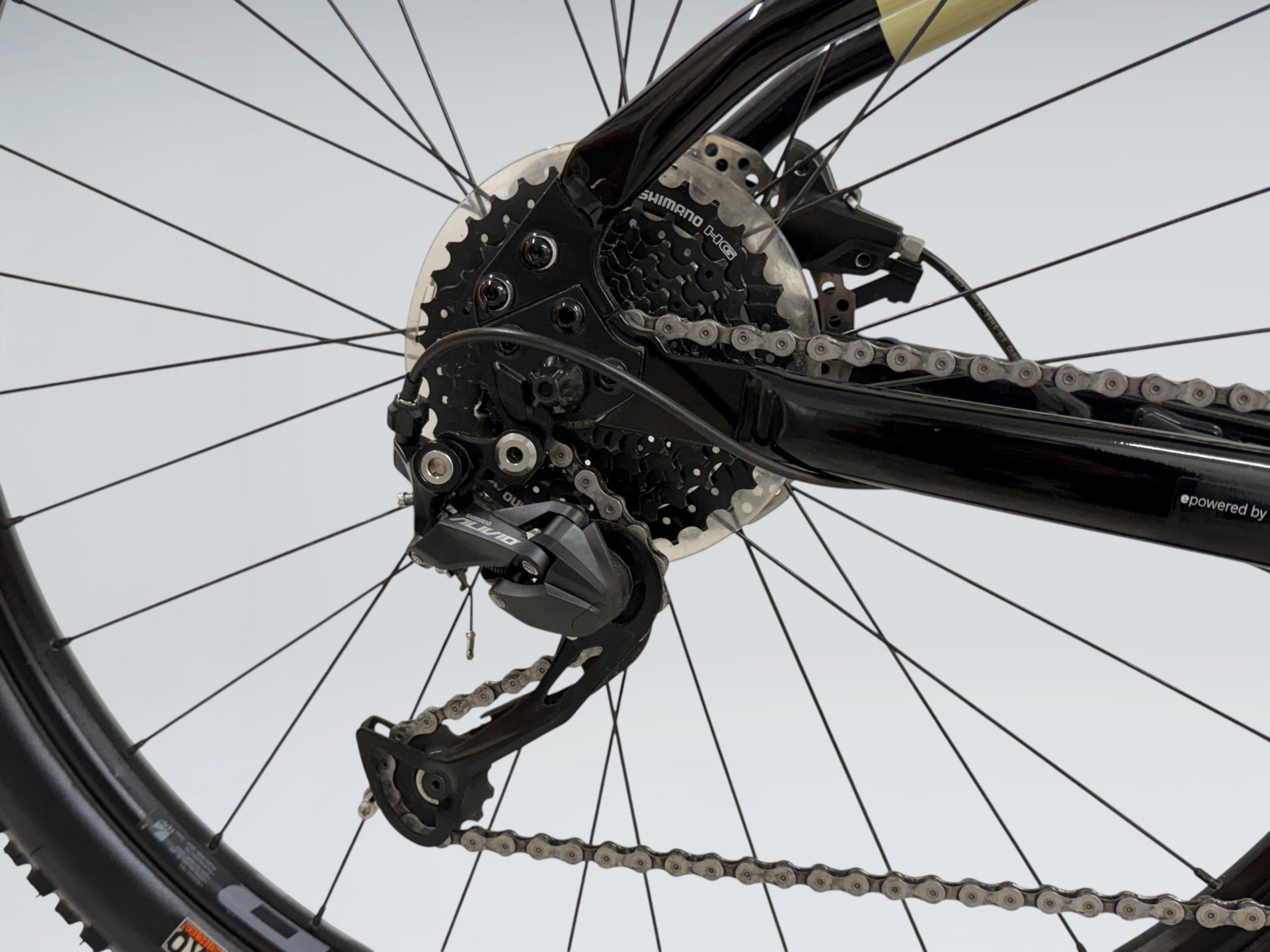 Cannondale Trail Neo 4 (2023)
