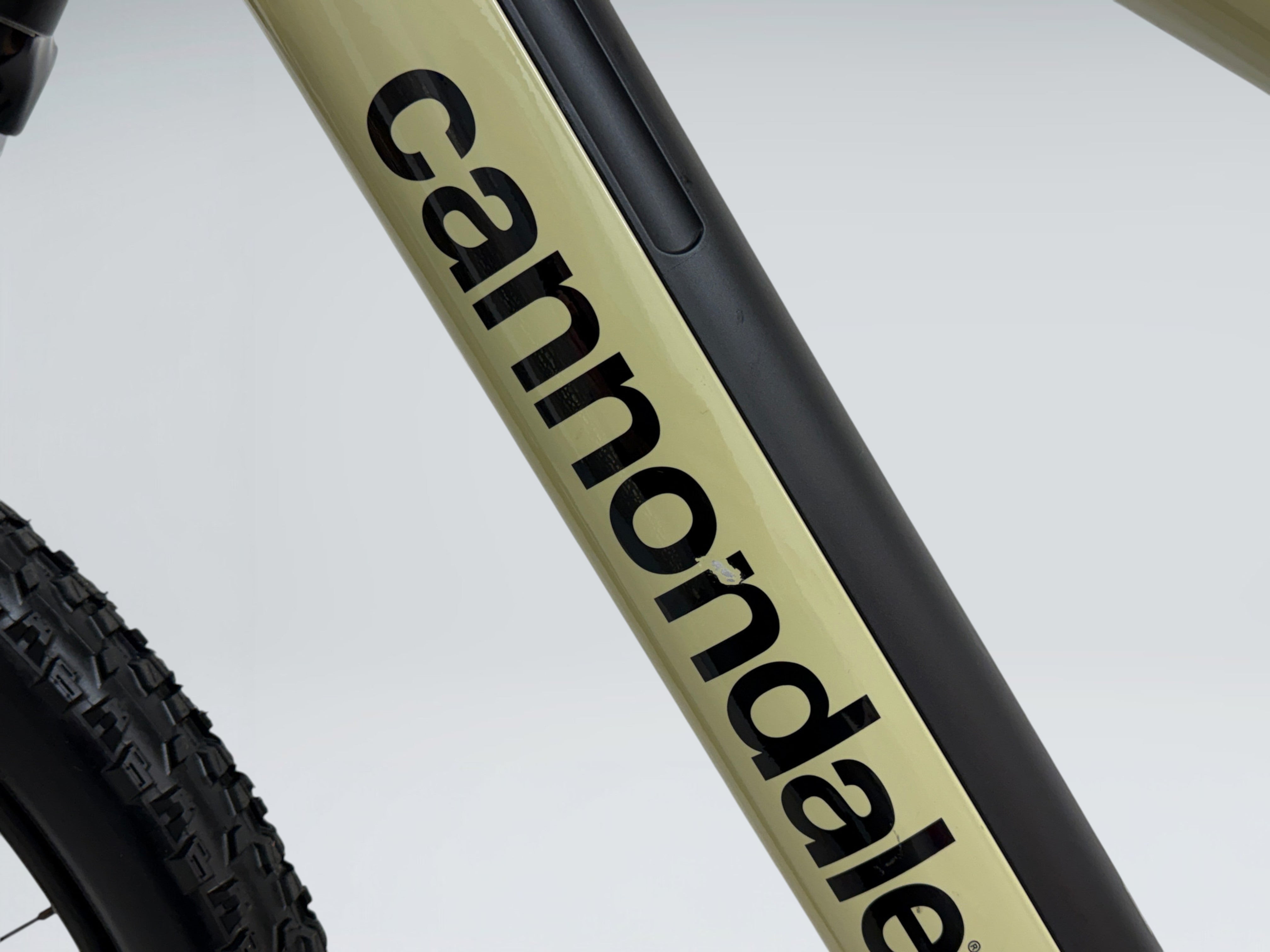 Cannondale Trail Neo 4 (2023)
