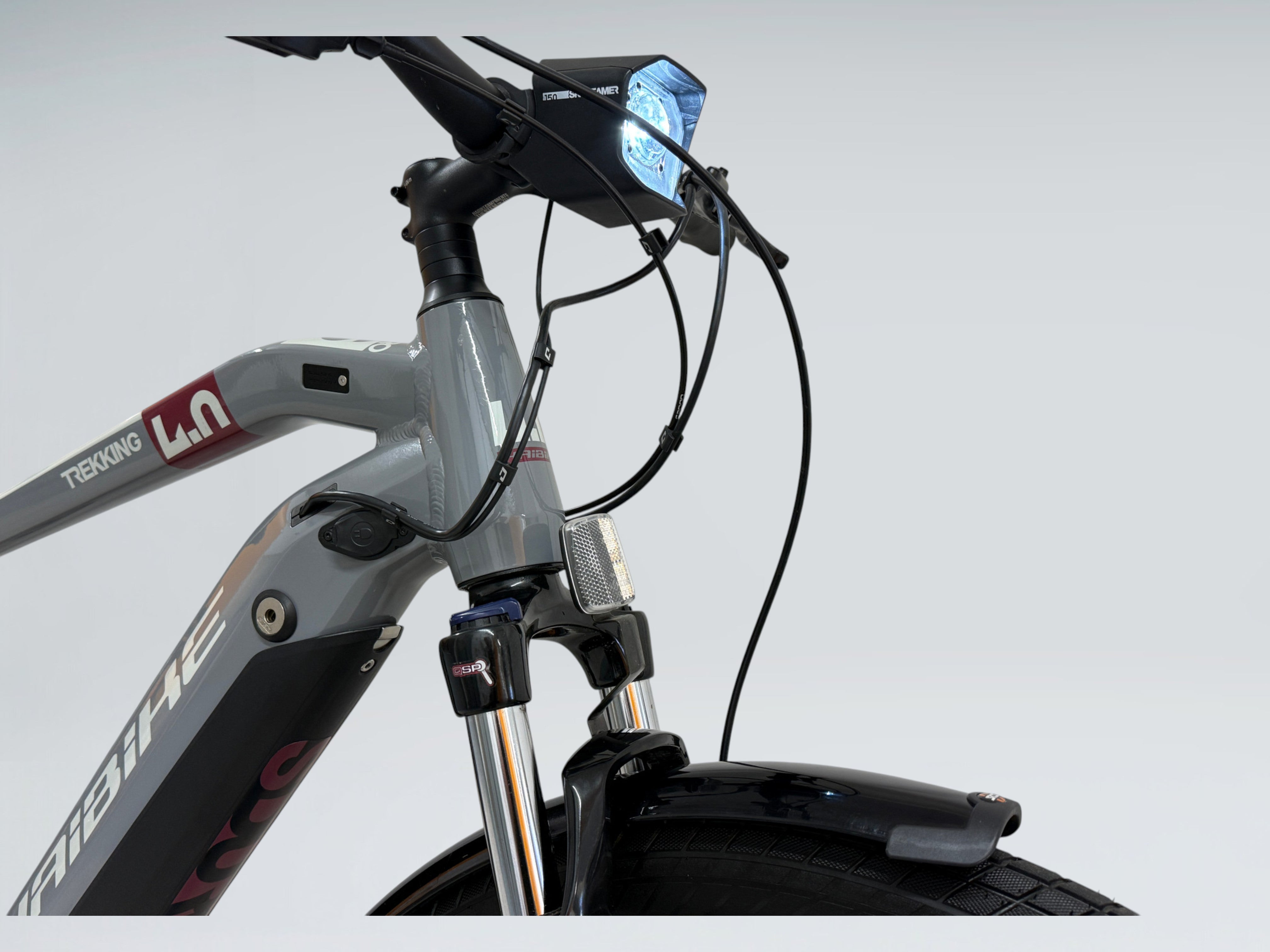 Haibike SDURO Trekking 4.0 (2020)