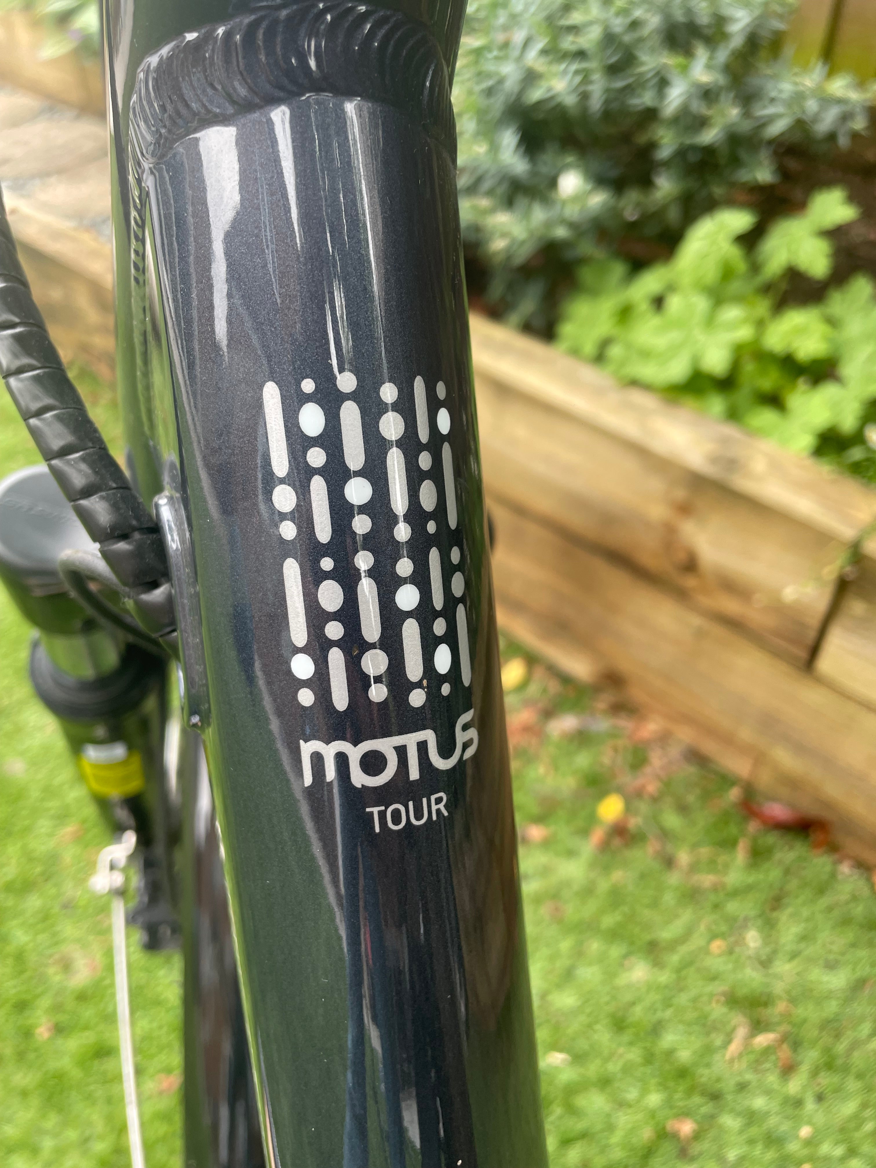 Raleigh Motus Tour Lowstep Hub (2020)