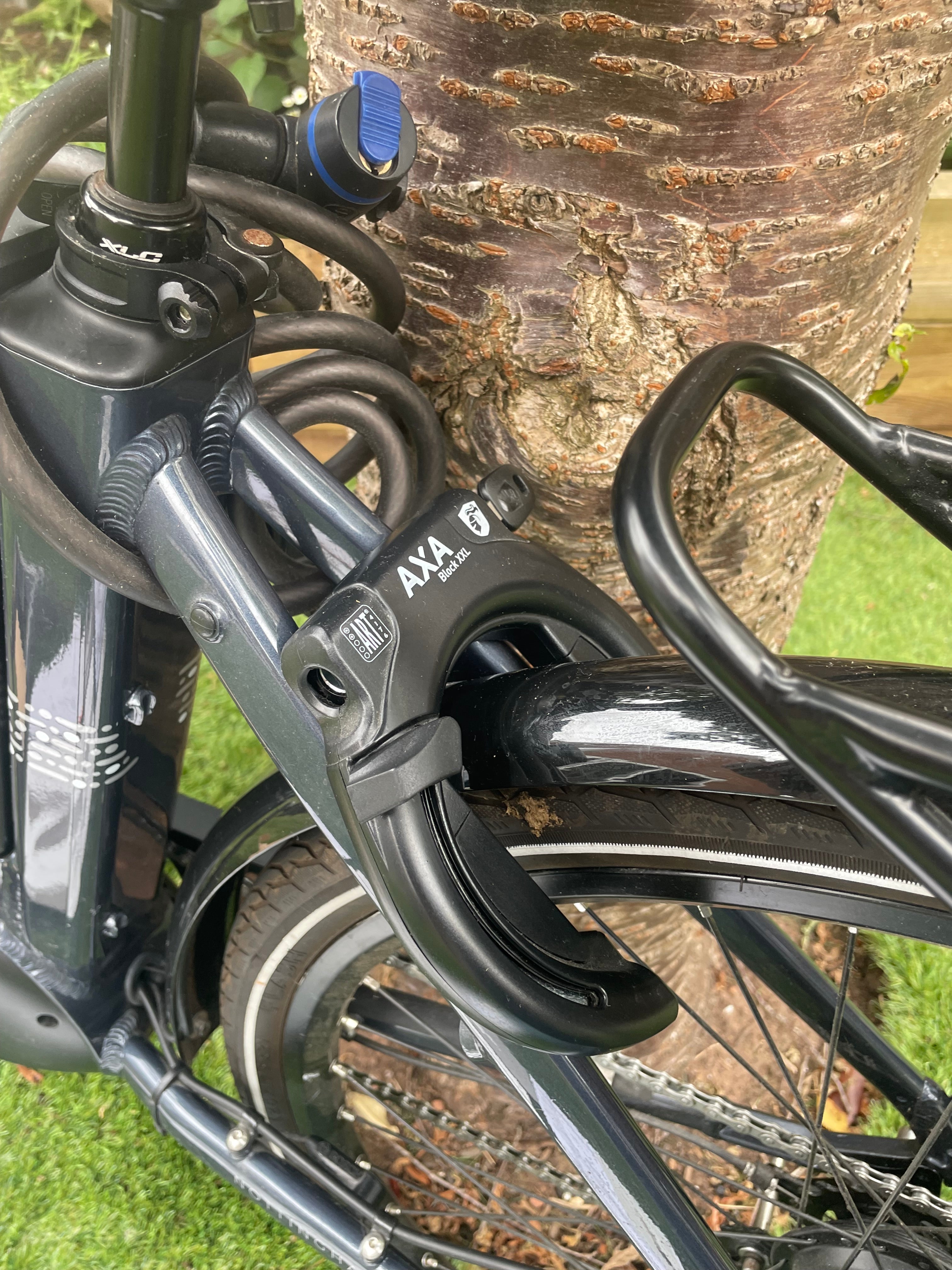 Raleigh Motus Tour Lowstep Hub (2020)