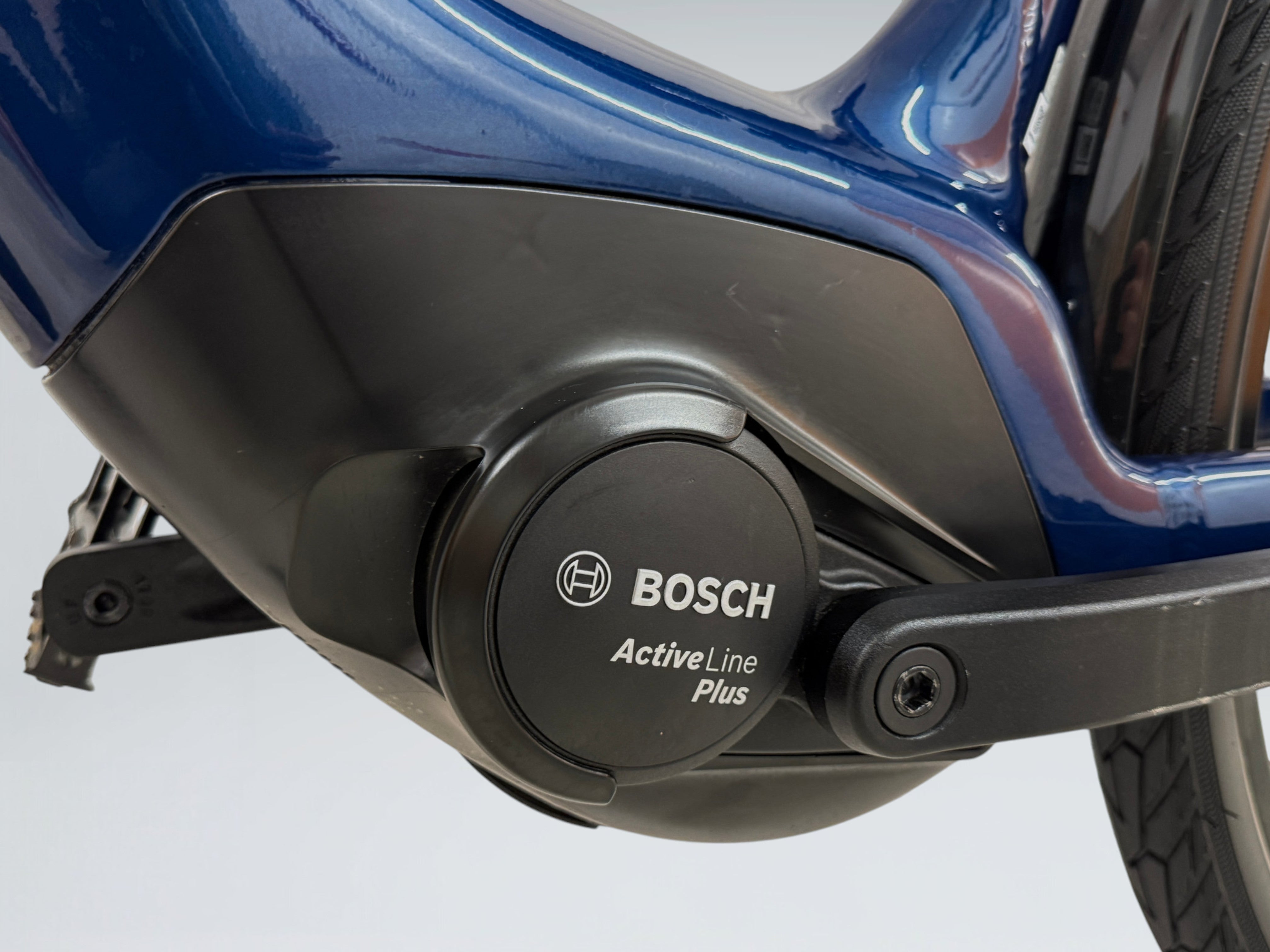 Raleigh Motus Tour Plus Hub (2022)