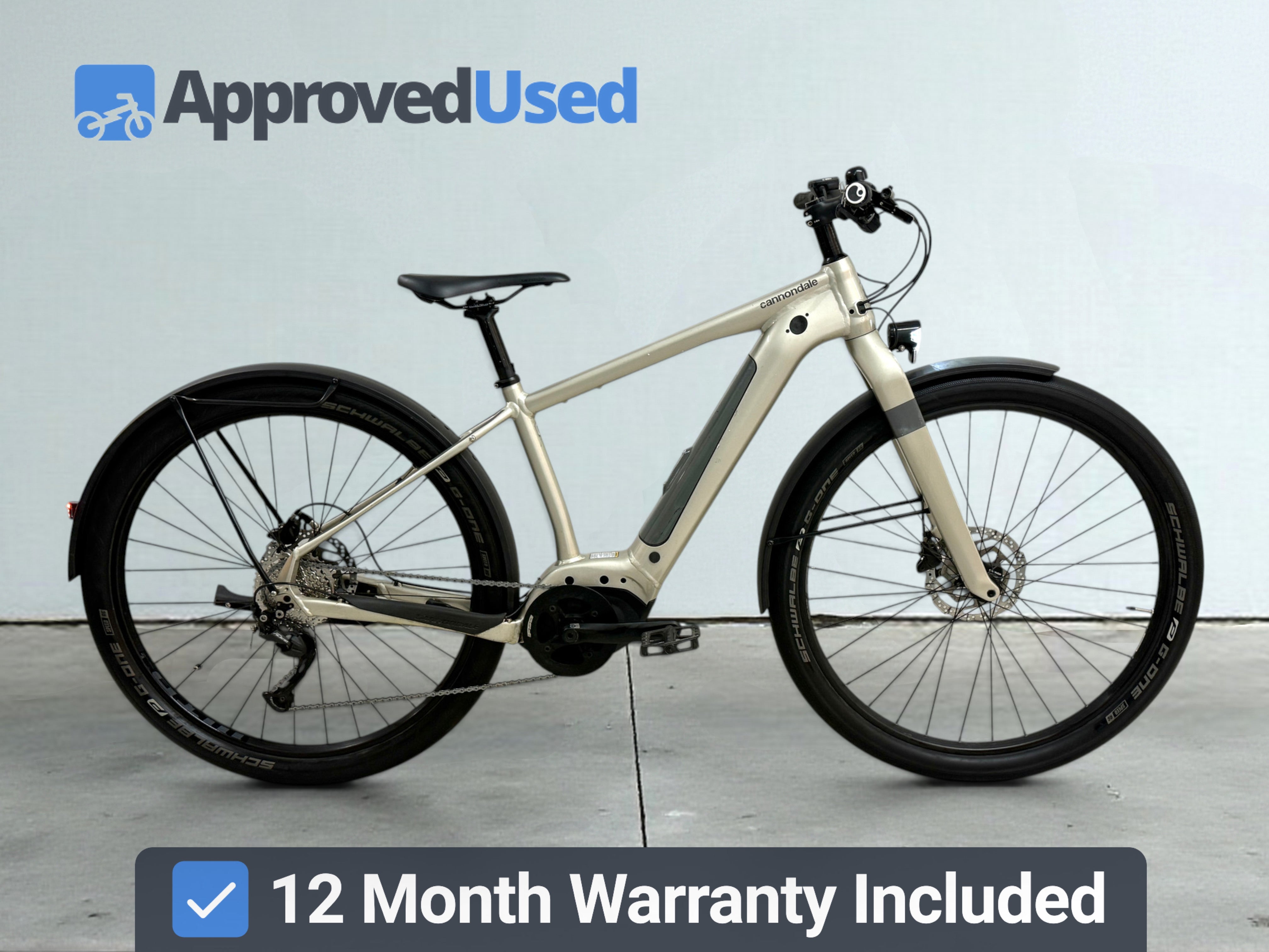 Cannondale Canvas Neo 2 (2021)