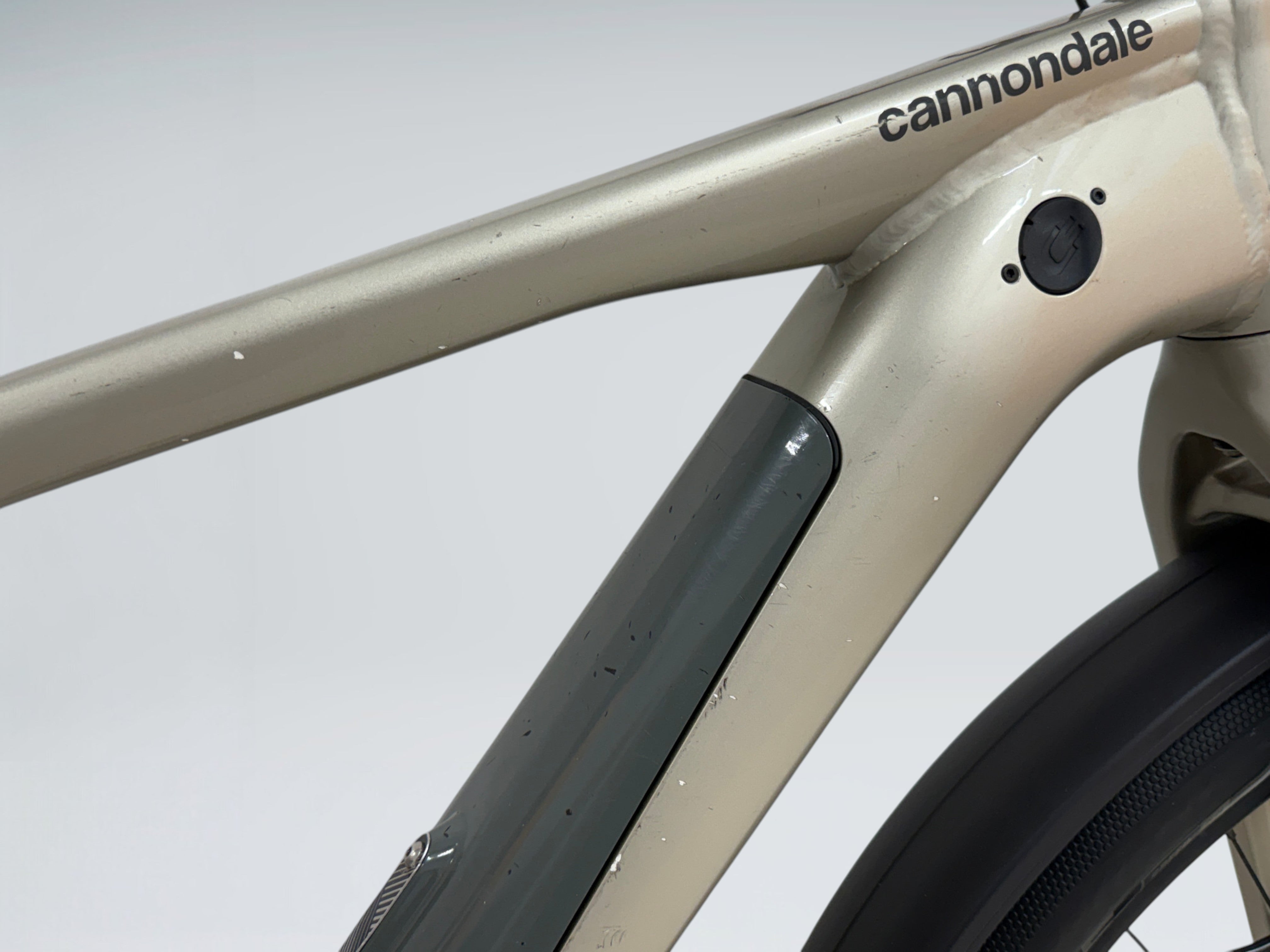 Cannondale Canvas Neo 2 (2021)