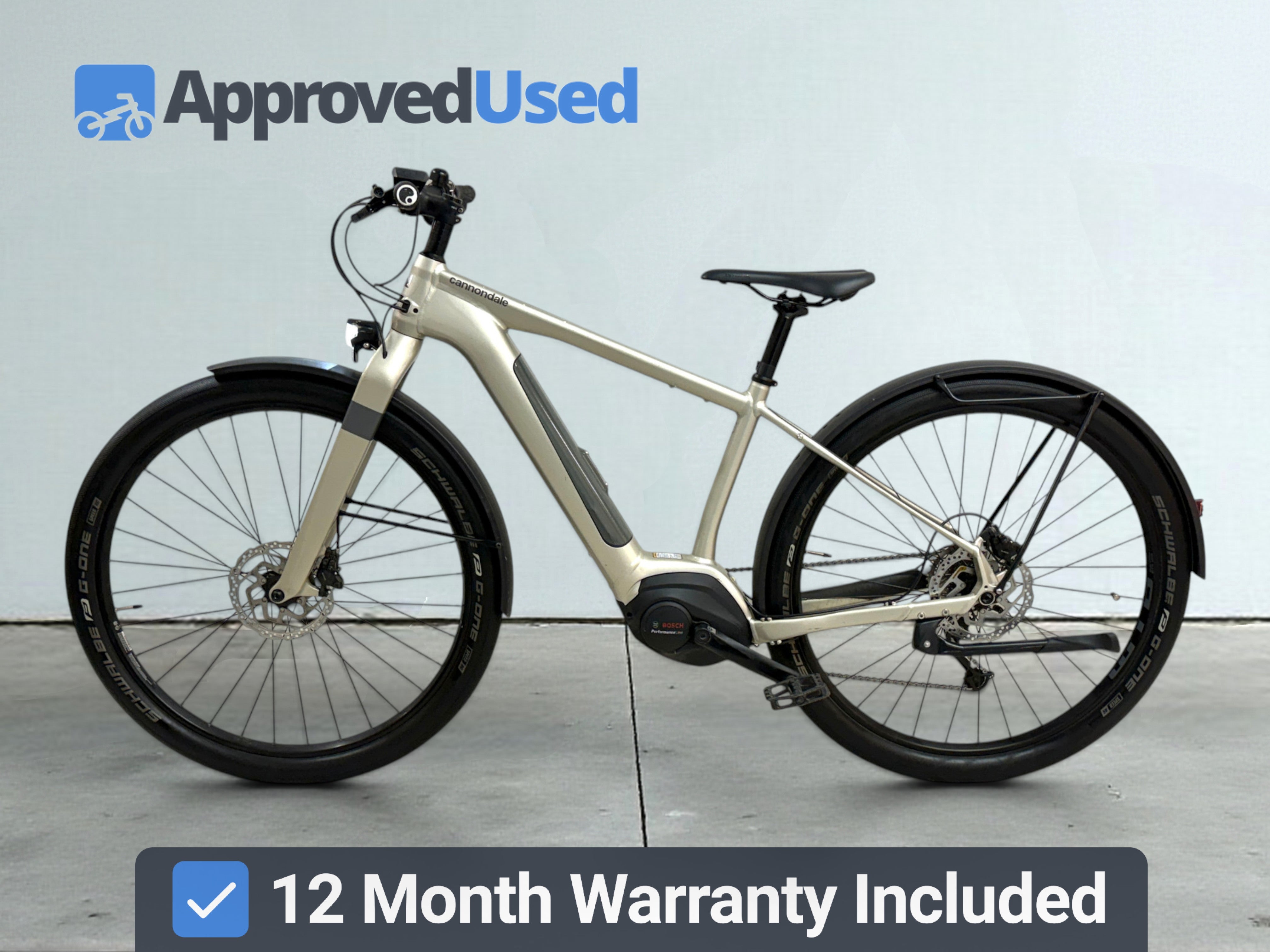 Cannondale Canvas Neo 2 (2021)