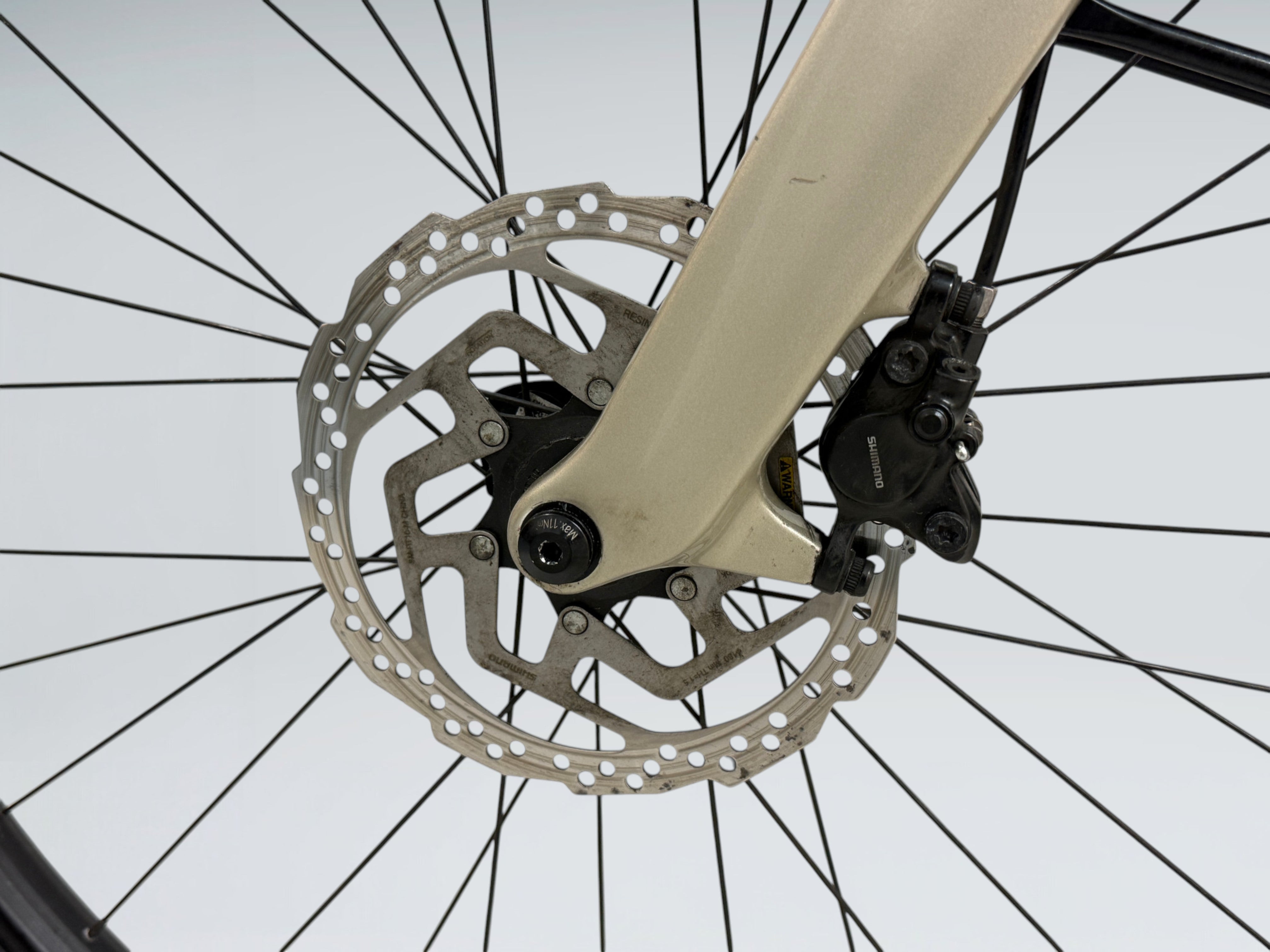 Cannondale Canvas Neo 2 (2021)