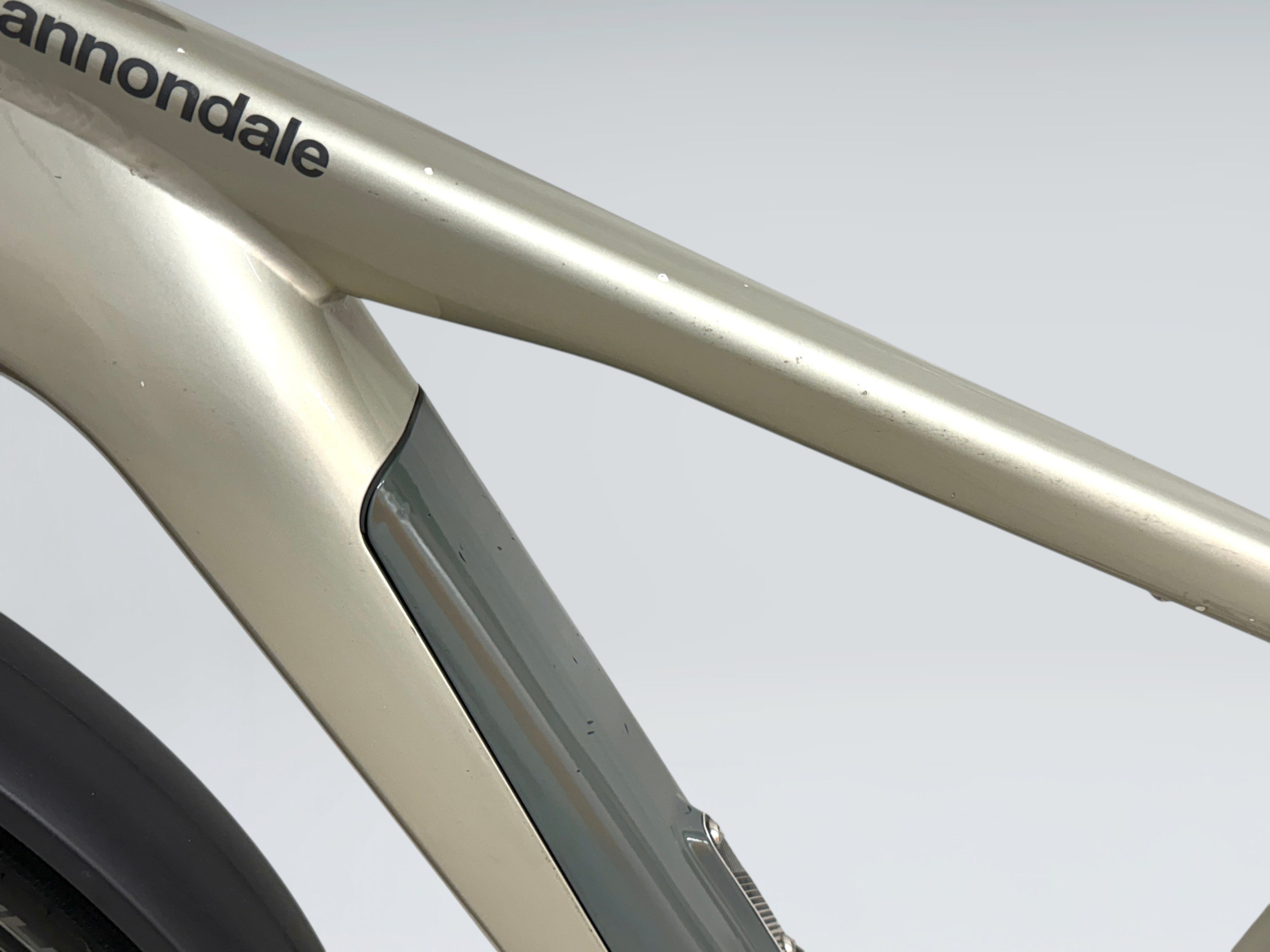 Cannondale Canvas Neo 2 (2021)