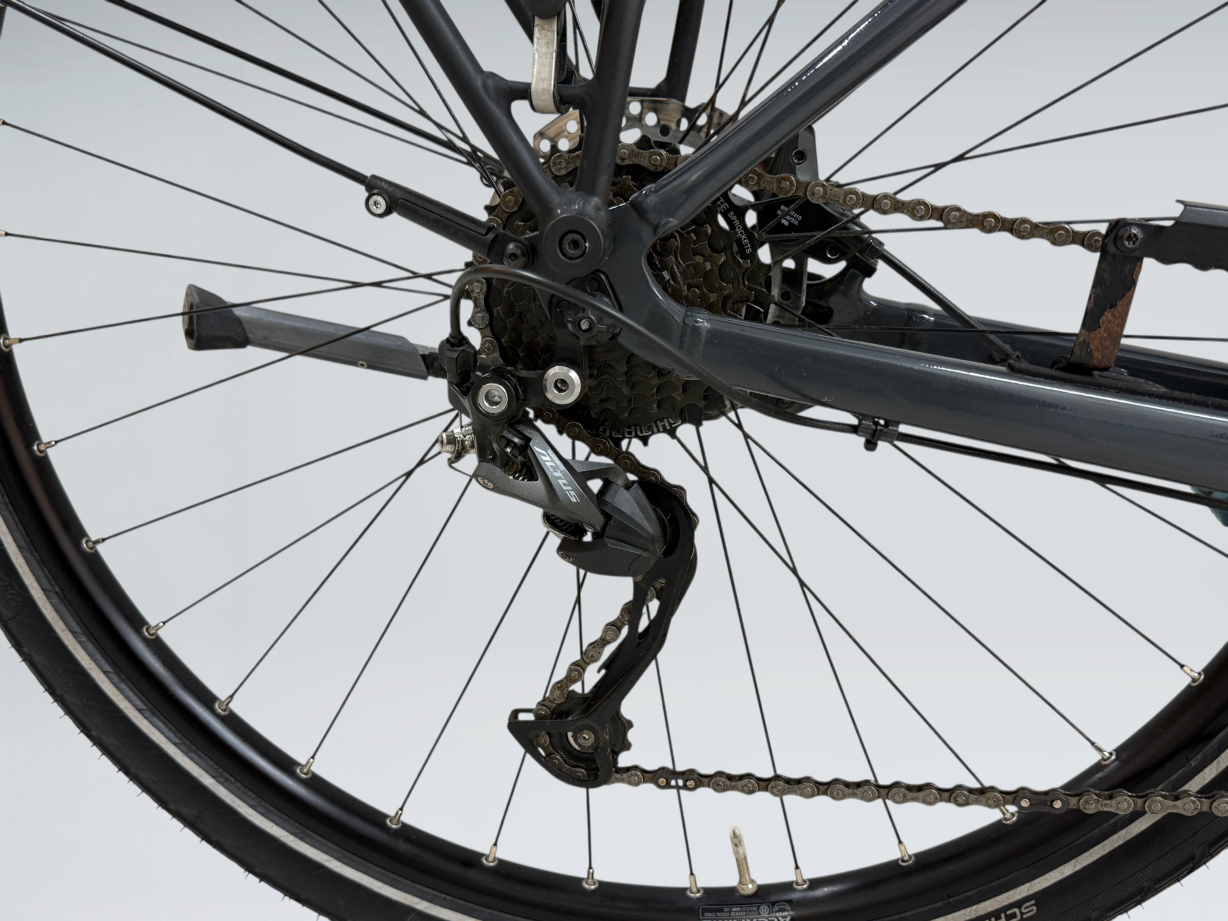 Trek Verve+ 1 (2022)