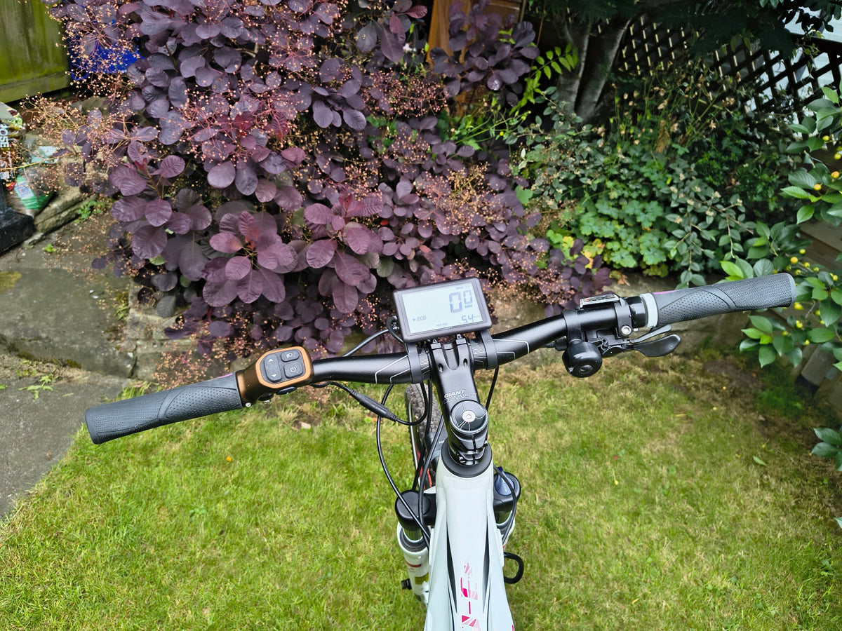 [Generator Brand] [Model Submitted] [Variant Submitted] electric bike
