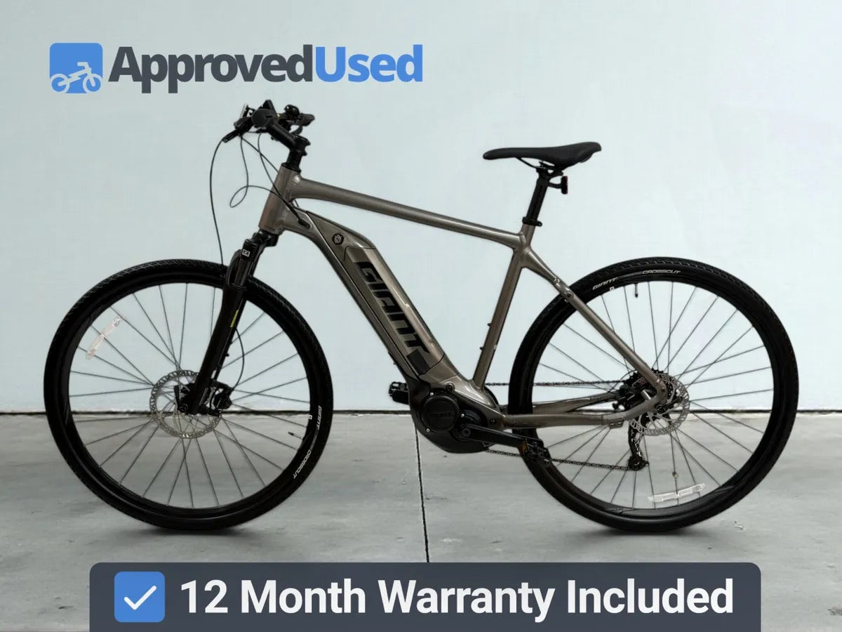 Giant Roam E+ GTS (2022)