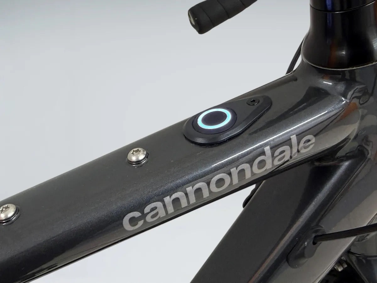 Cannondale Topstone Neo SL 2 (2021)
