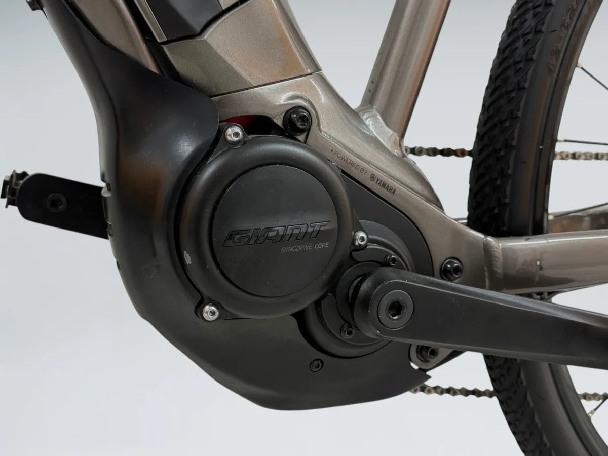 Giant Roam E+ GTS (2022)
