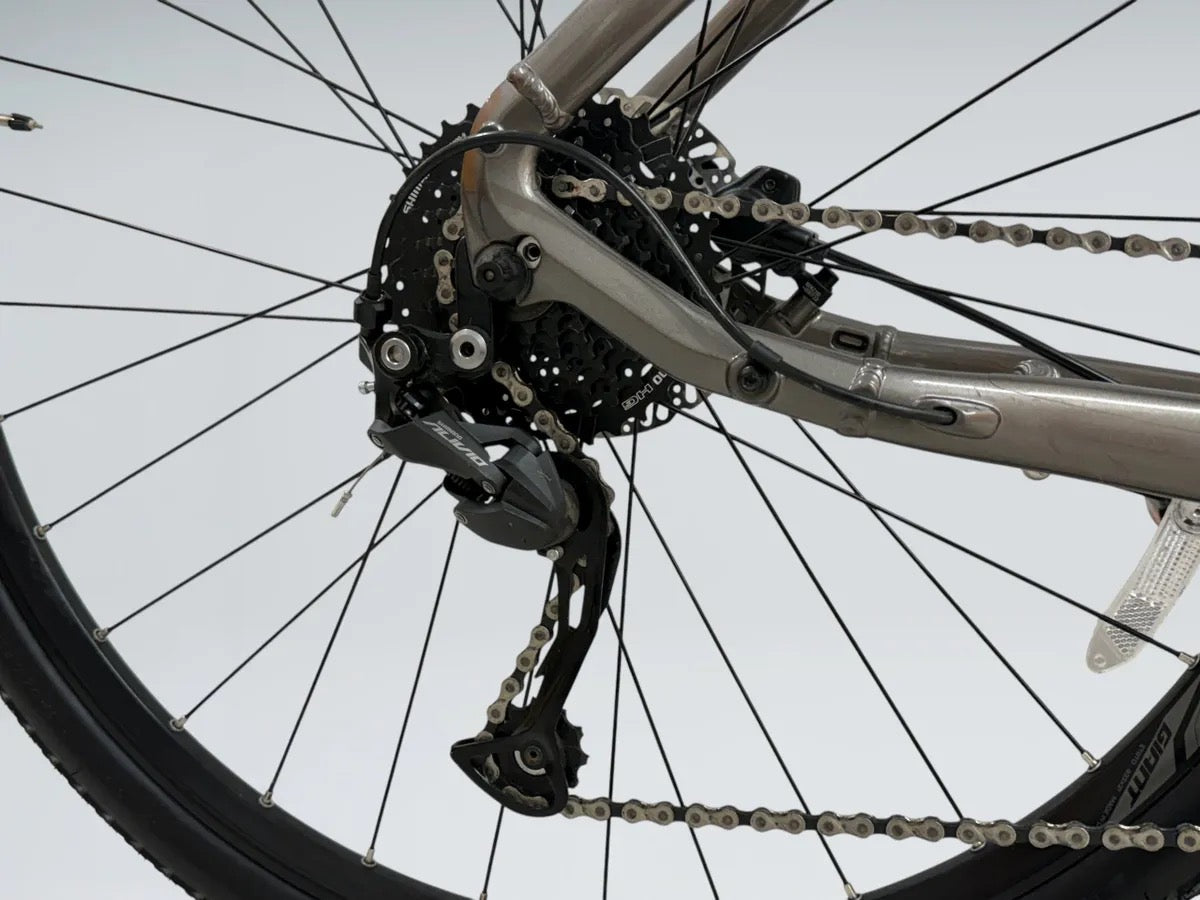 Giant Roam E+ GTS (2022)