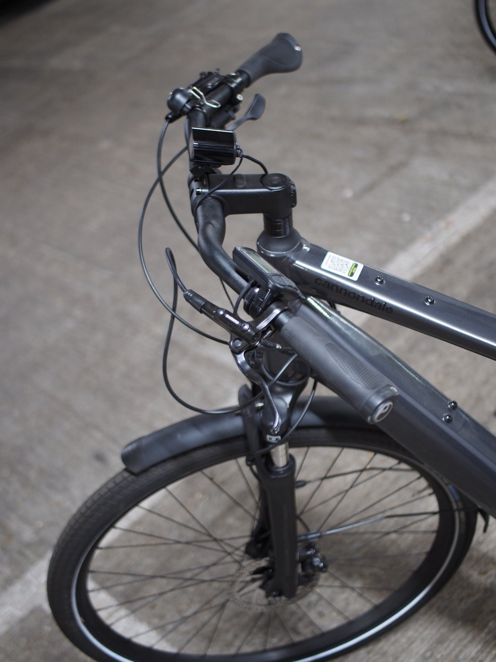 Cannondale Mavaro Neo SL 1 (2024)